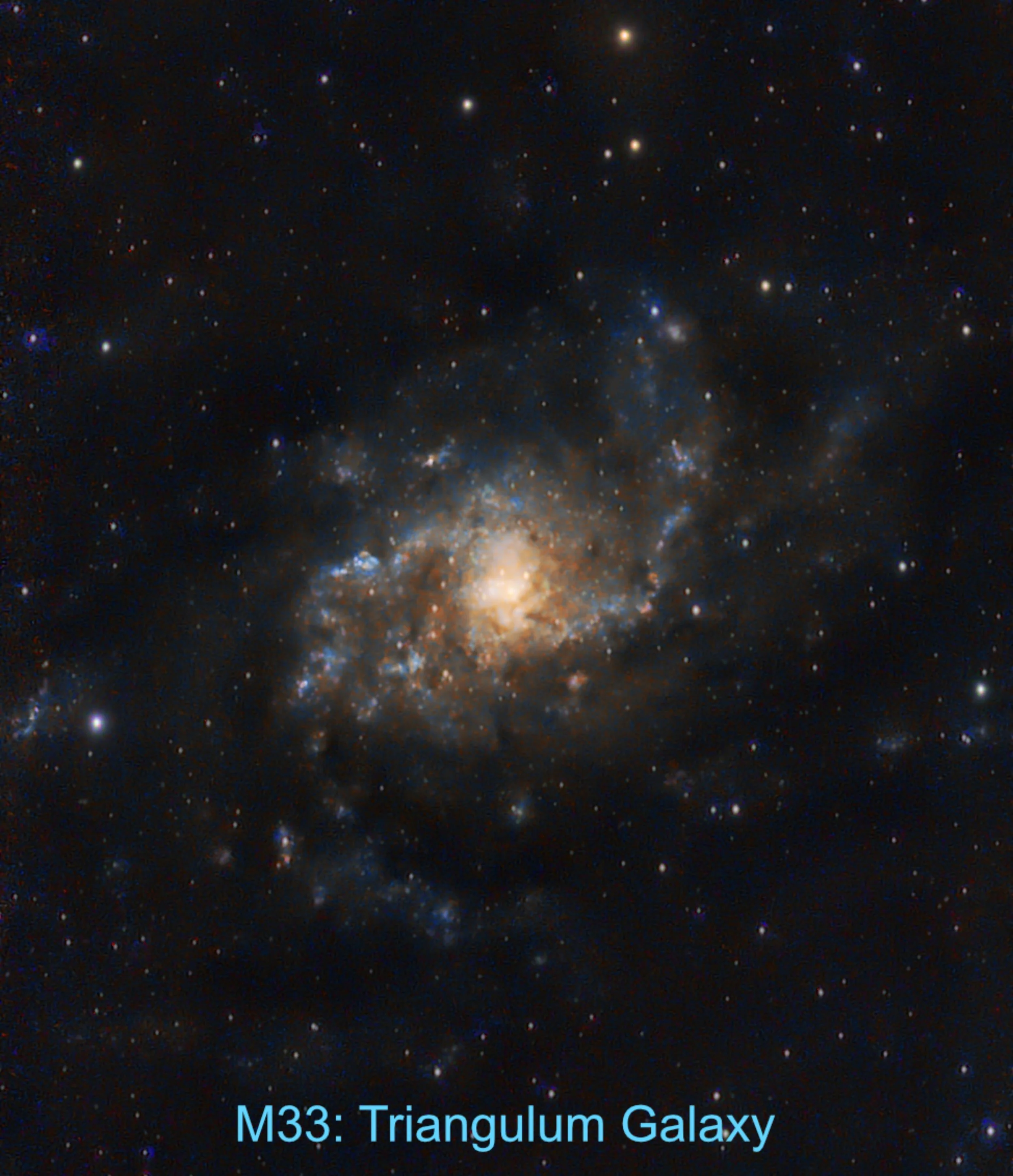 Messier 33 The Triangulum galaxy