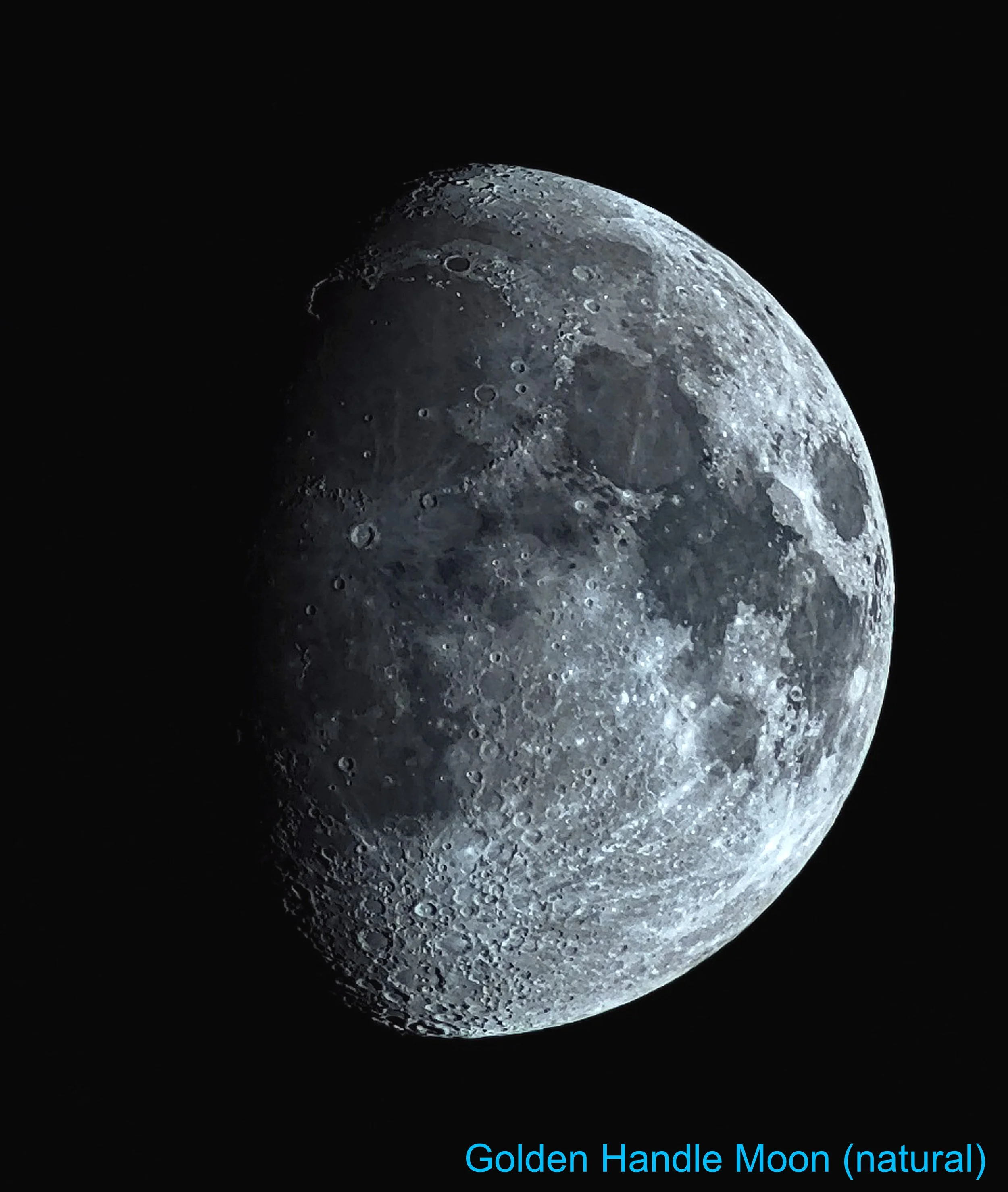 Golden Handle moon (Natural)