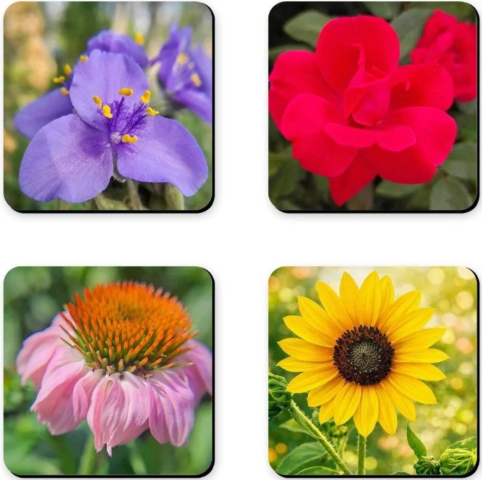 Floral Coasters.jpg
