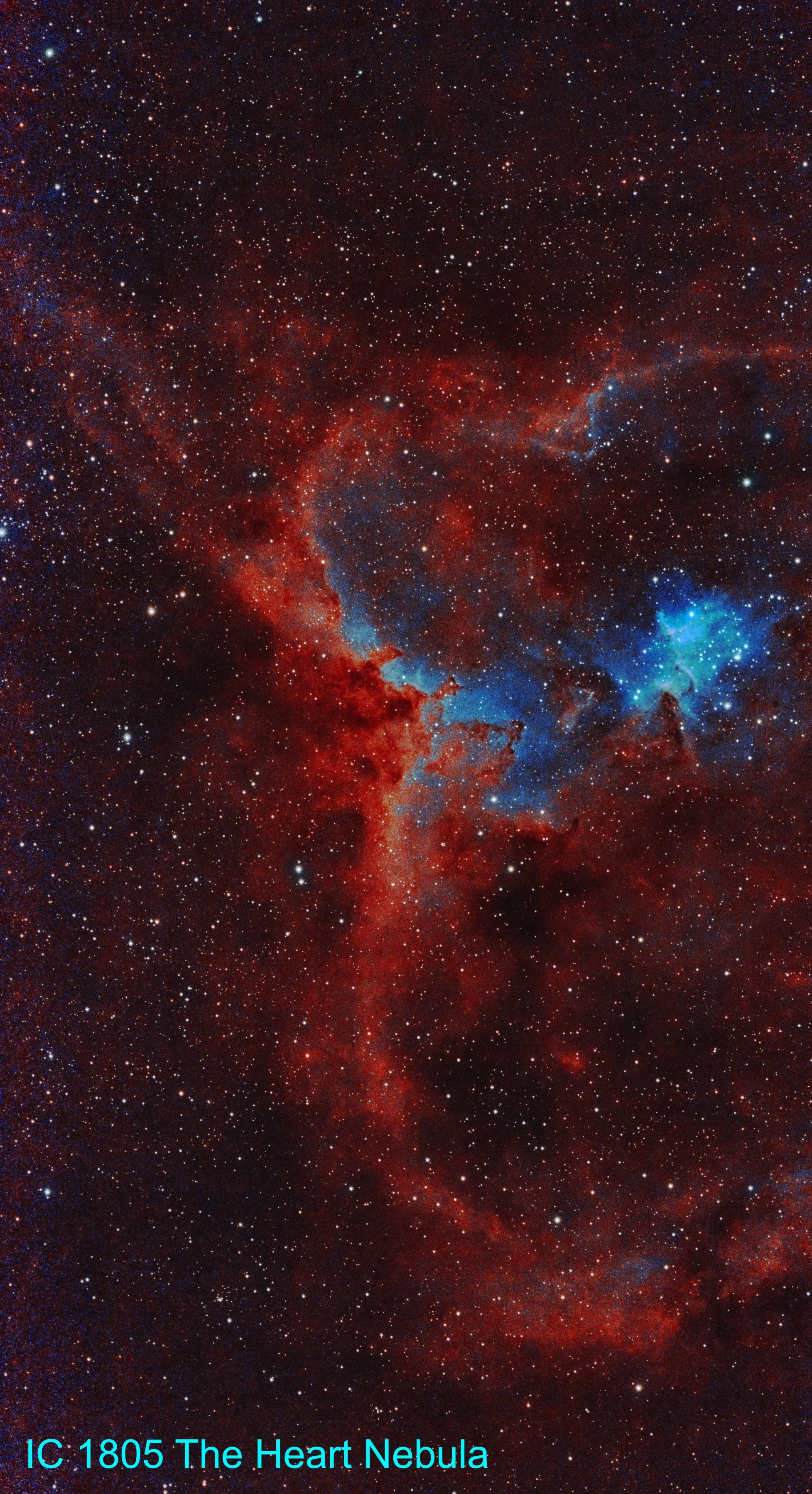The Heart nebula