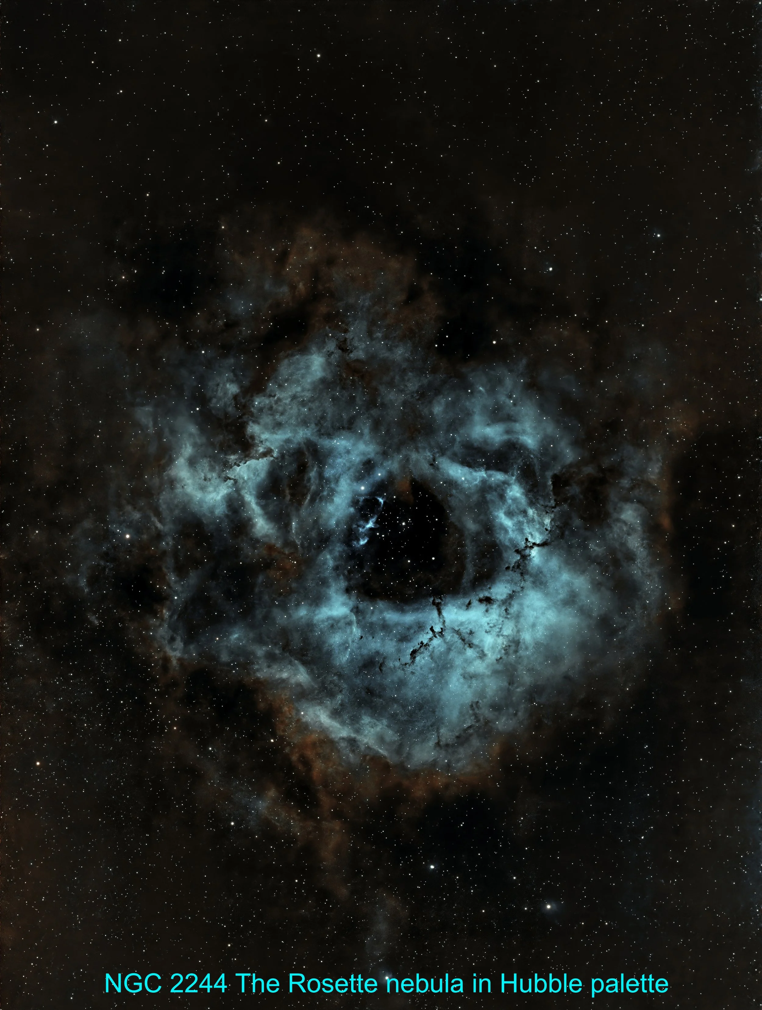The Rosette Nebula in SHO