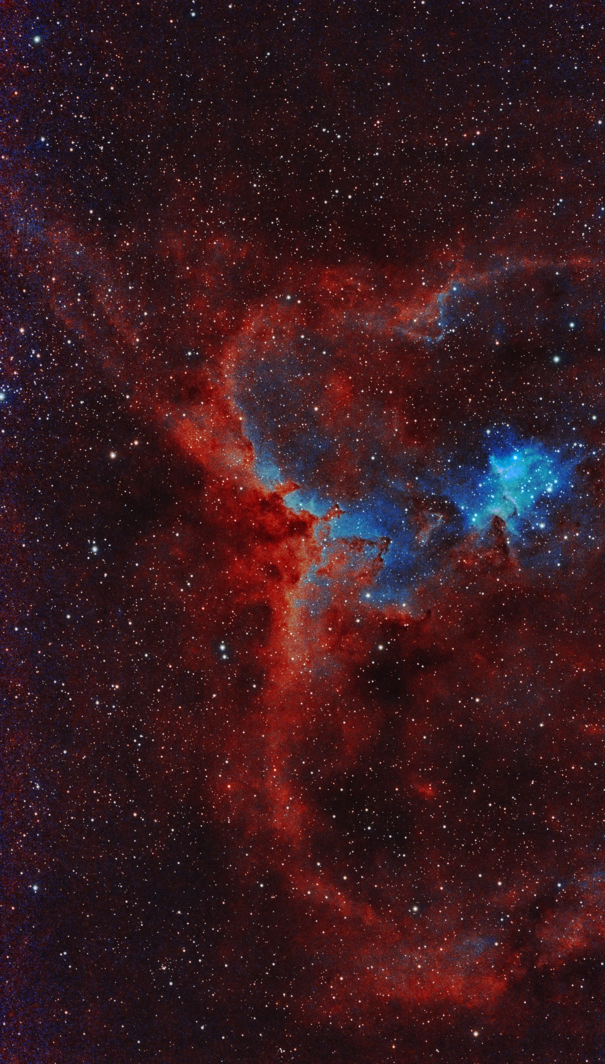 The Heart nebula