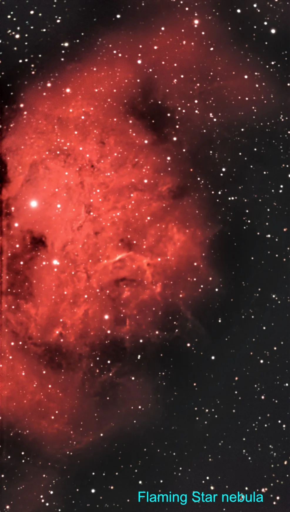 The Flaming Star nebula