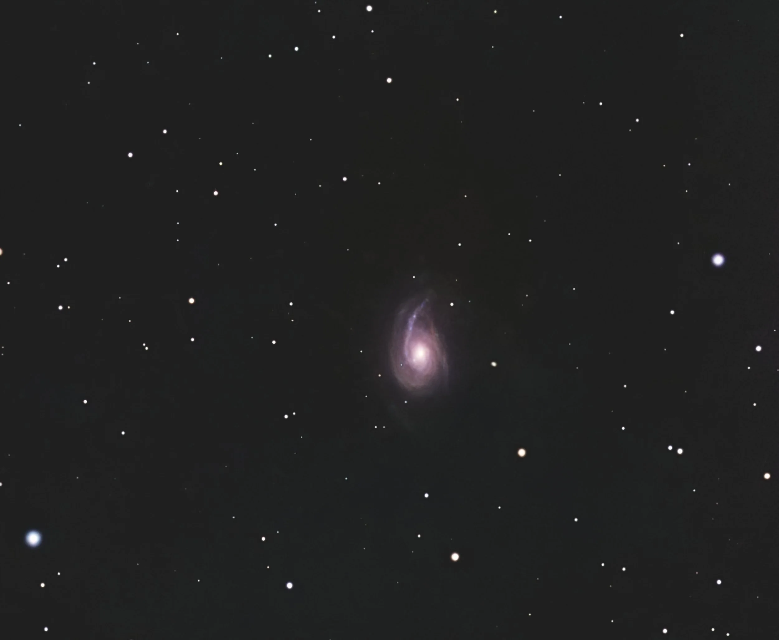 NGC 772 The Fiddlehead Galaxy