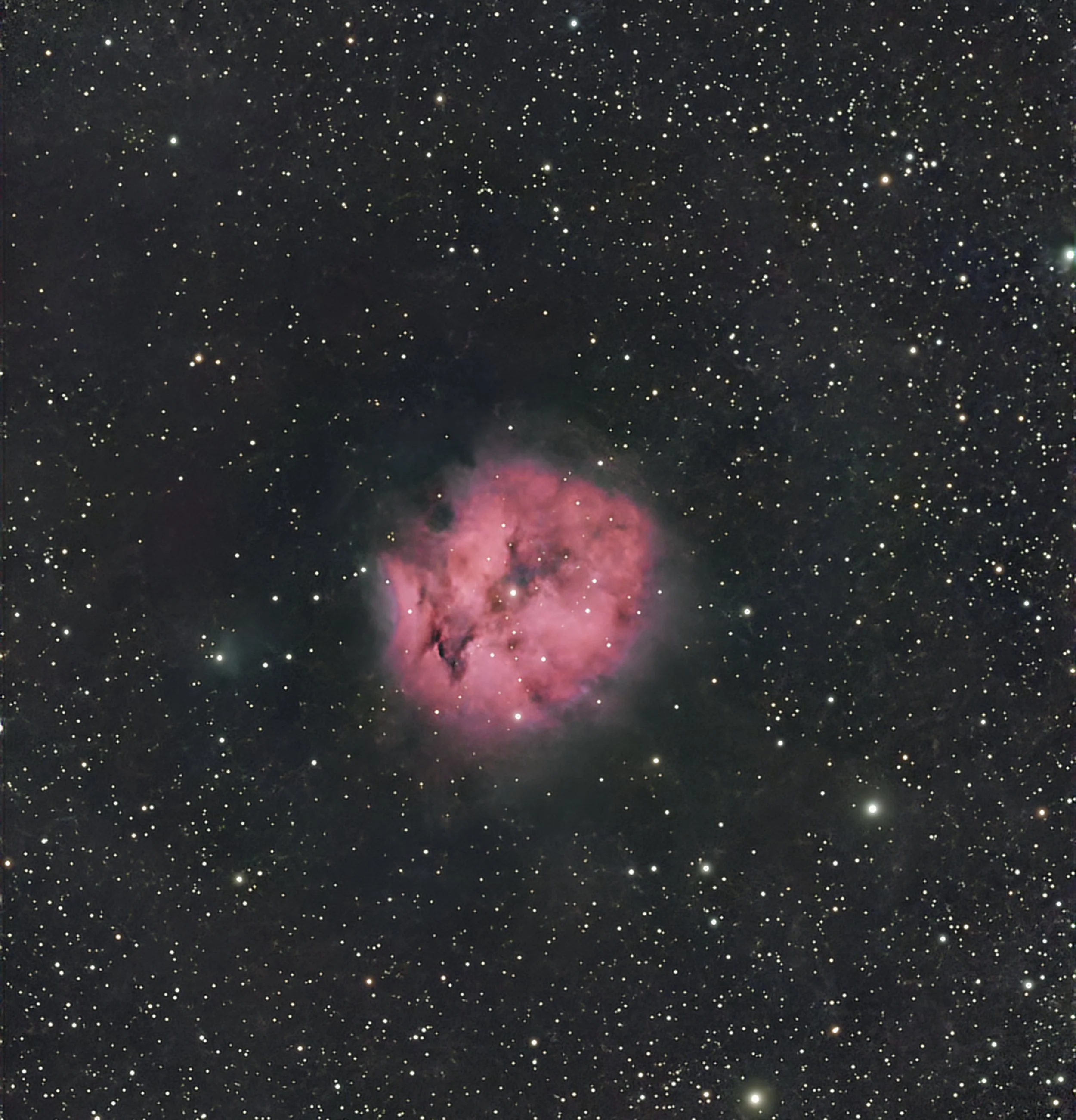 The Cocoon Nebula