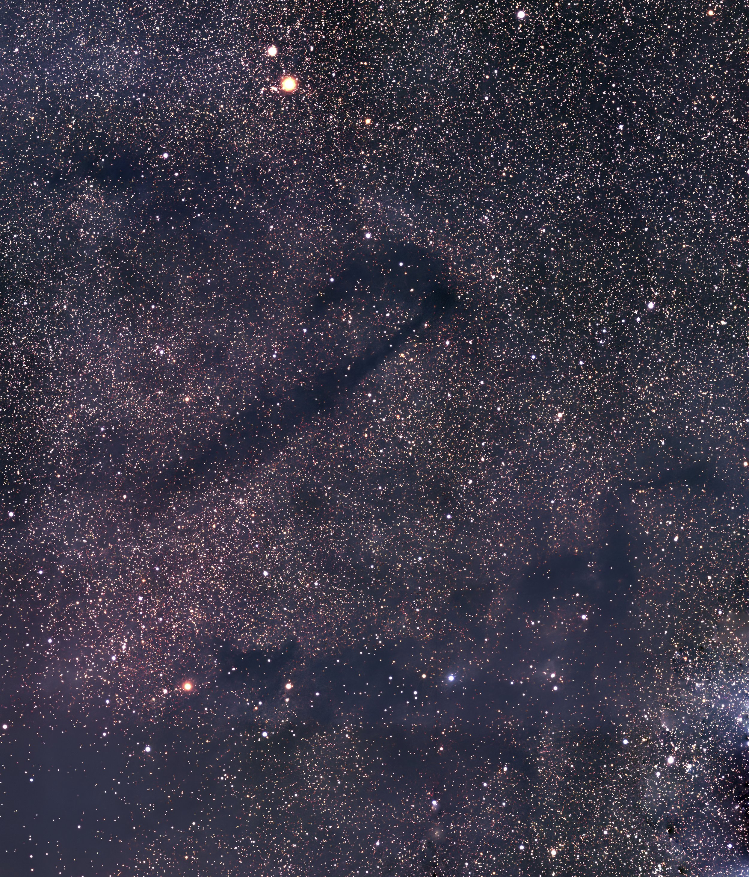 The Lochness dark nebula