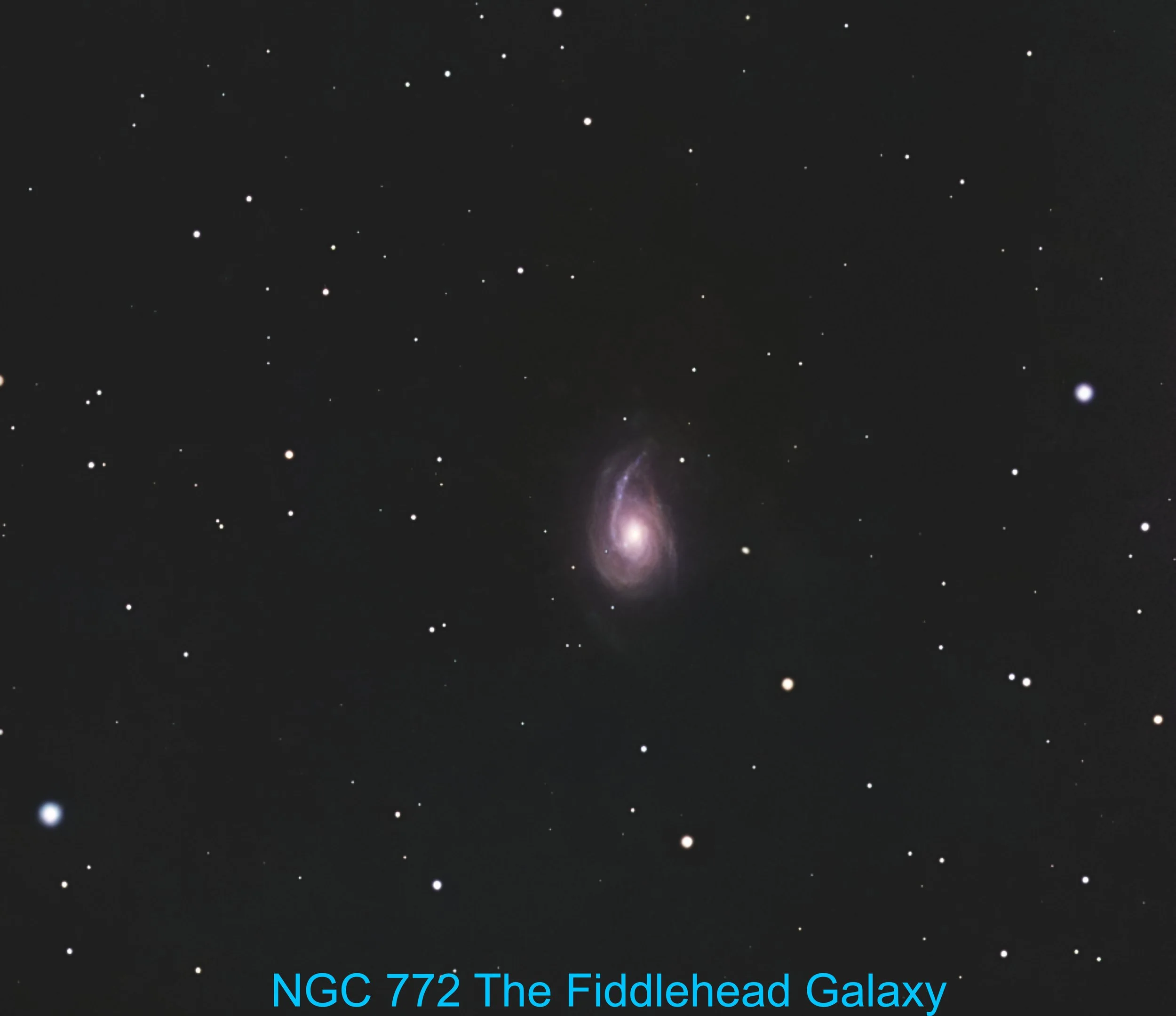 NGC 772 The Fiddlehead Galaxy