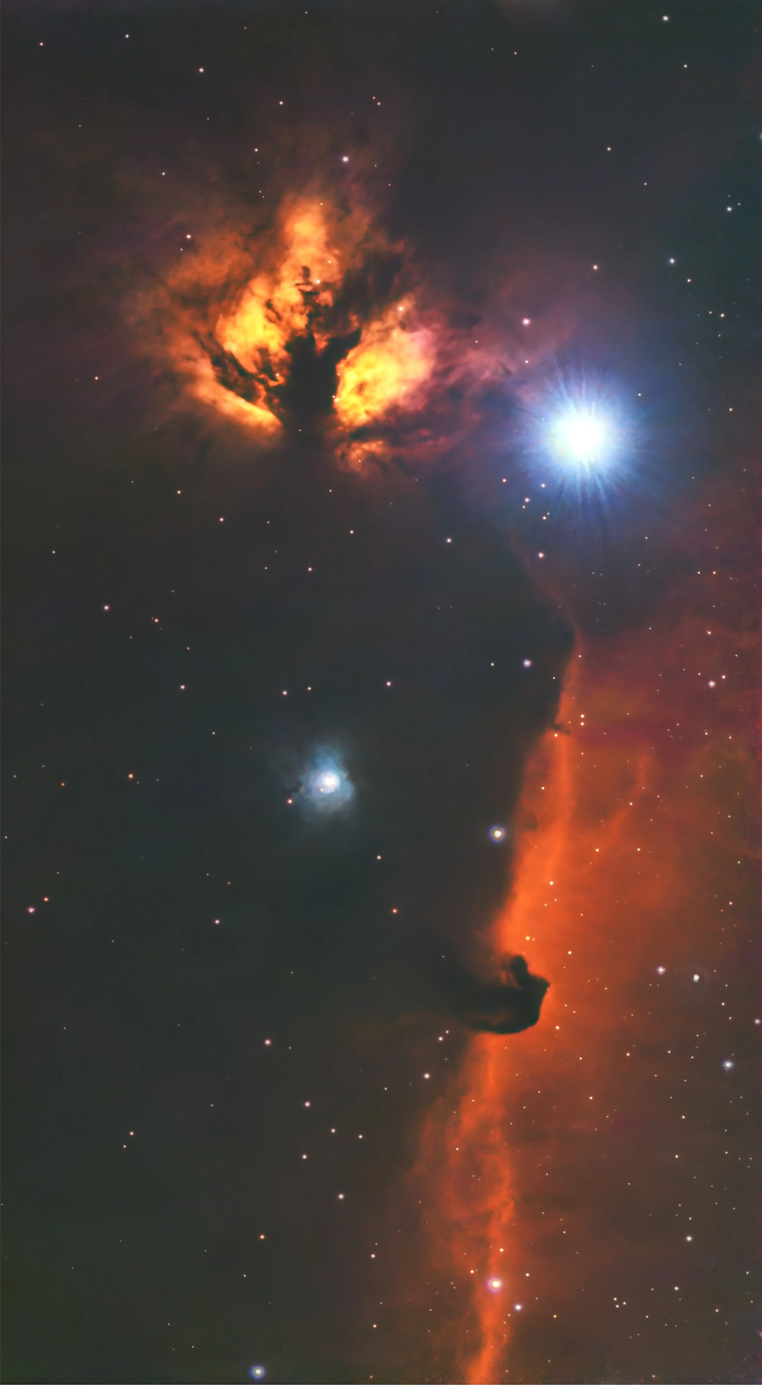 Horsehead_Flame vertical.jpg