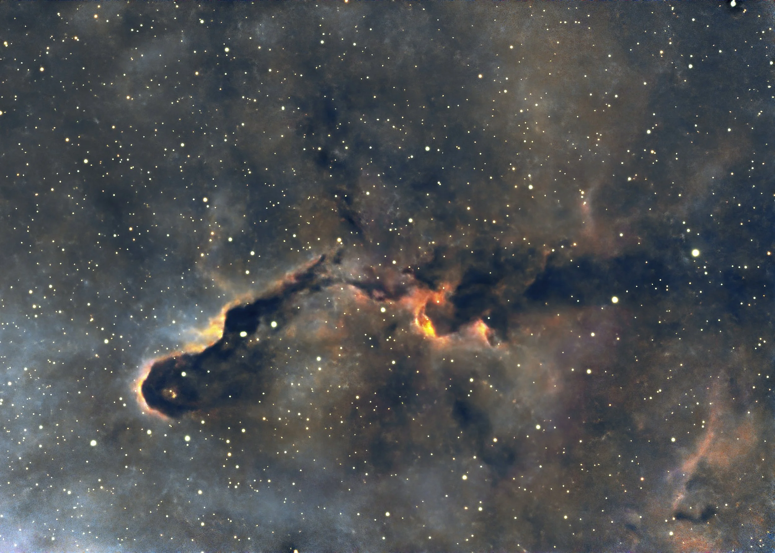 The Elephant Trunk (close-up)