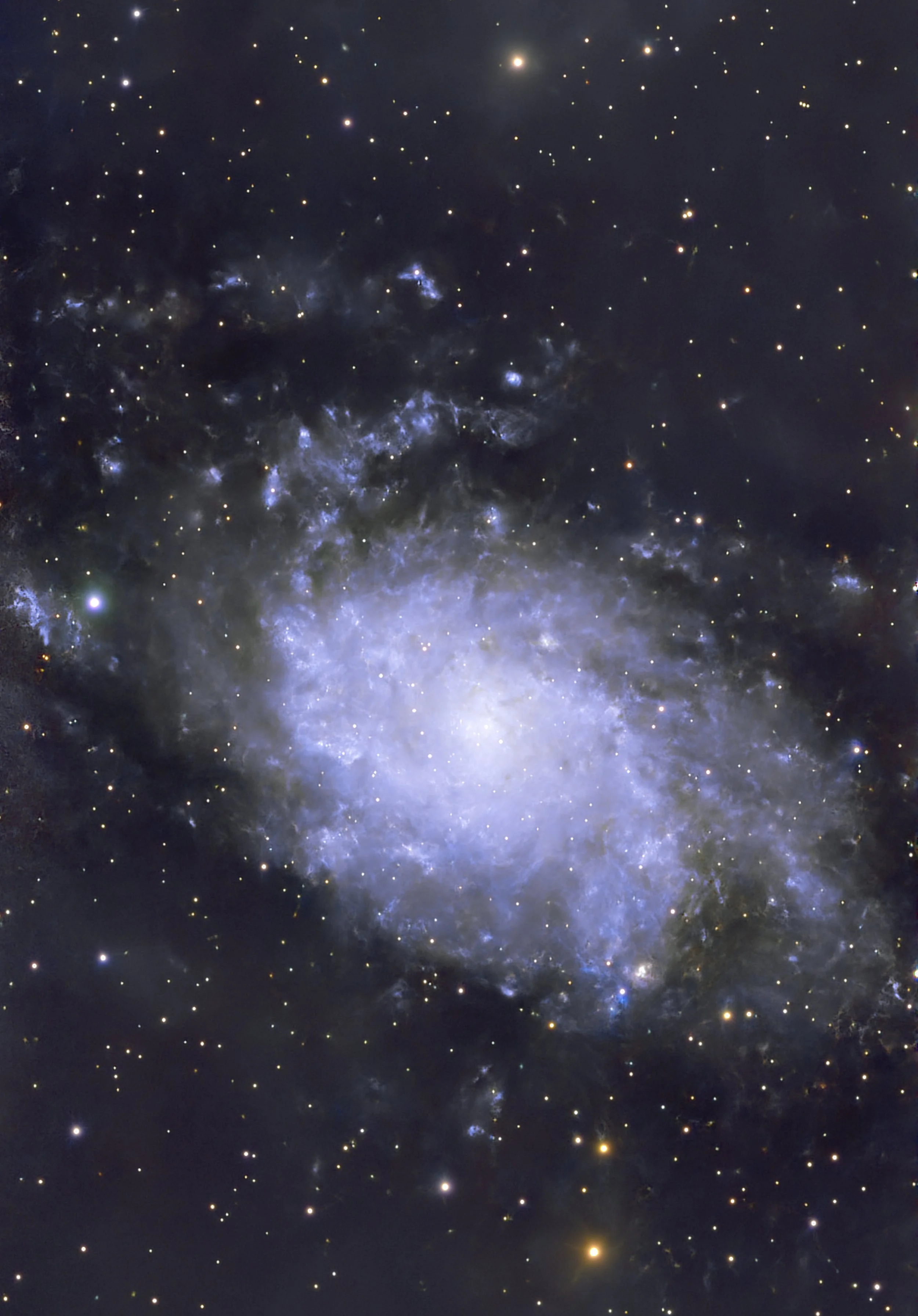 The Triangulum galaxy