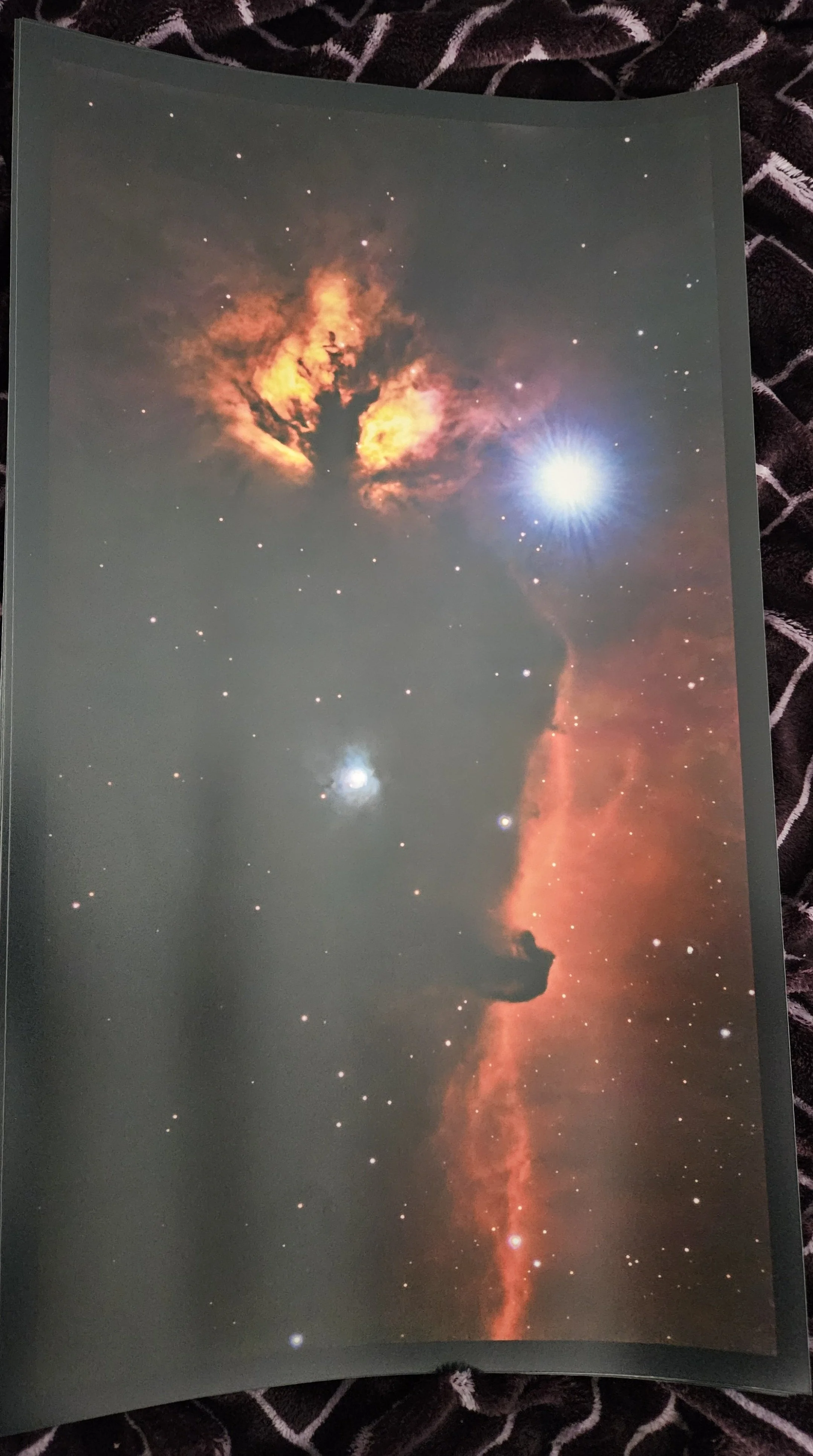 Horsehead unframed.jpg