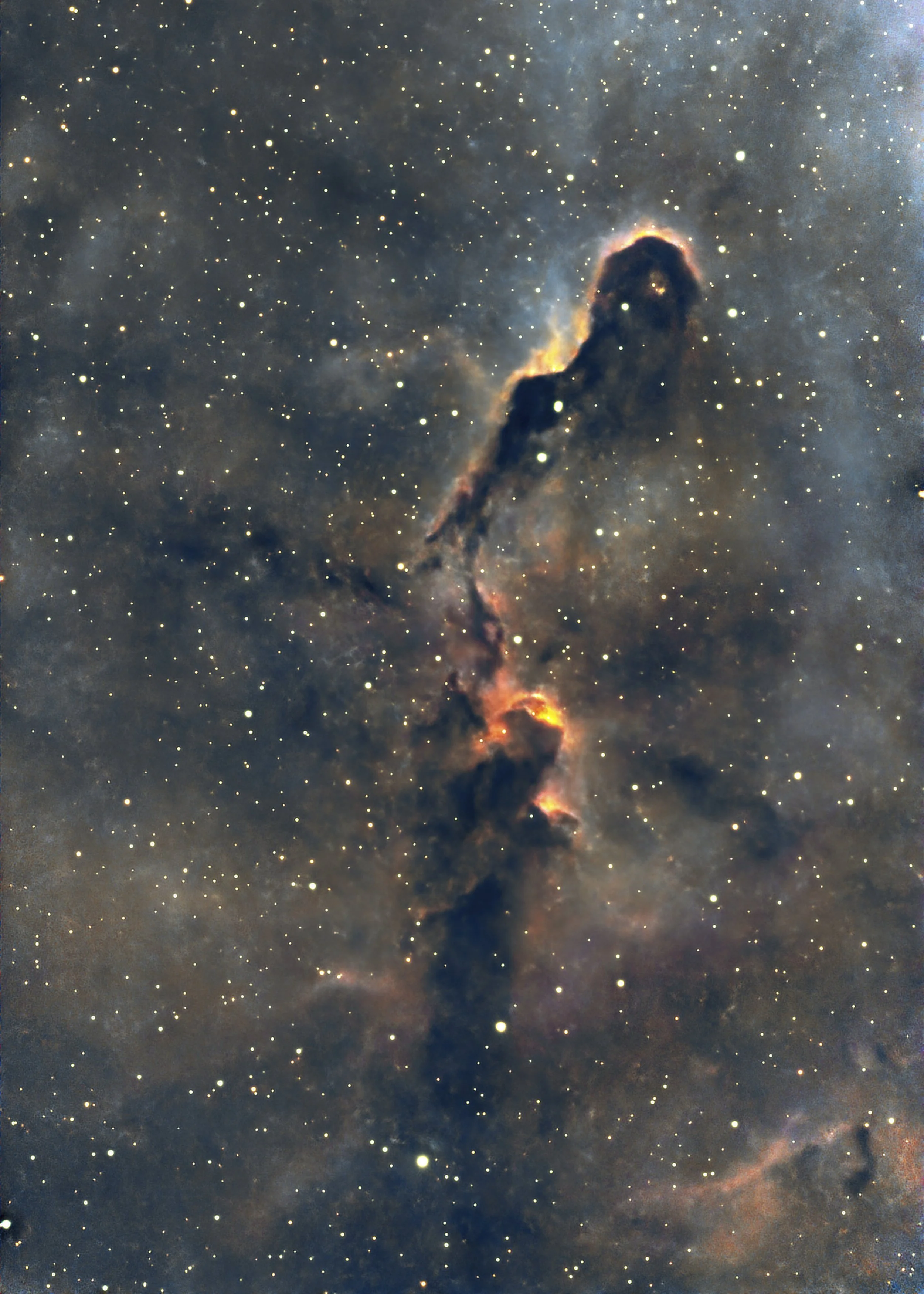 The Elephant Trunk Nebula