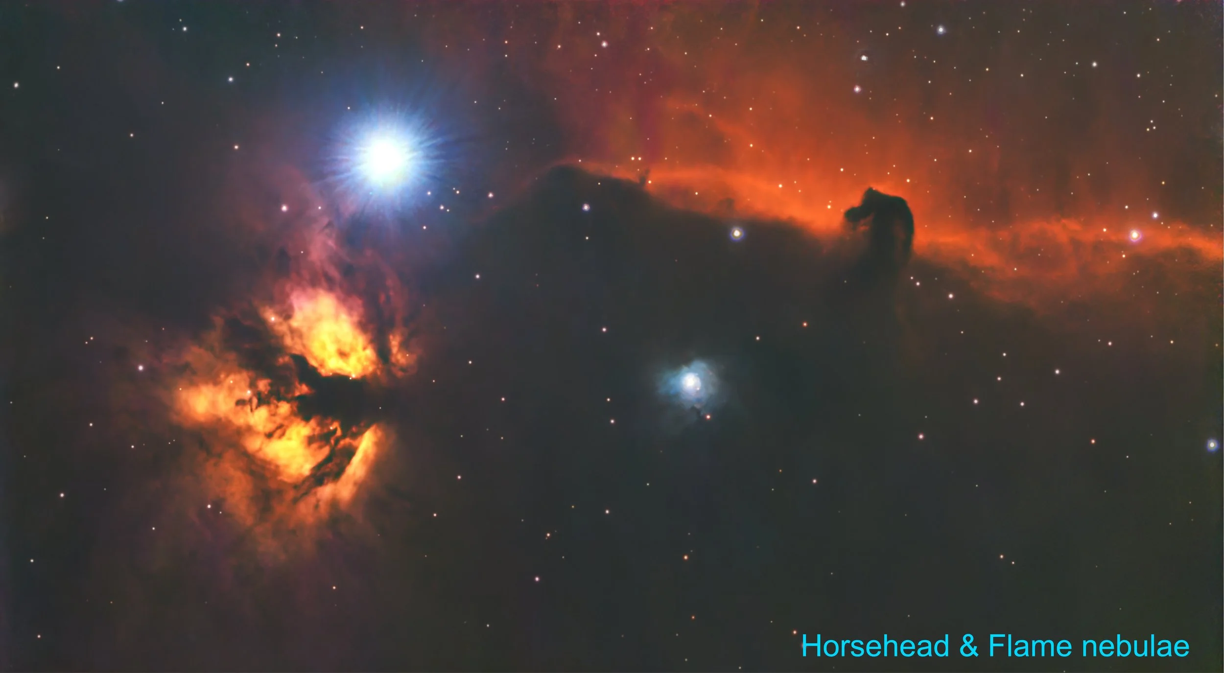 Horsehead & Flame nebulae