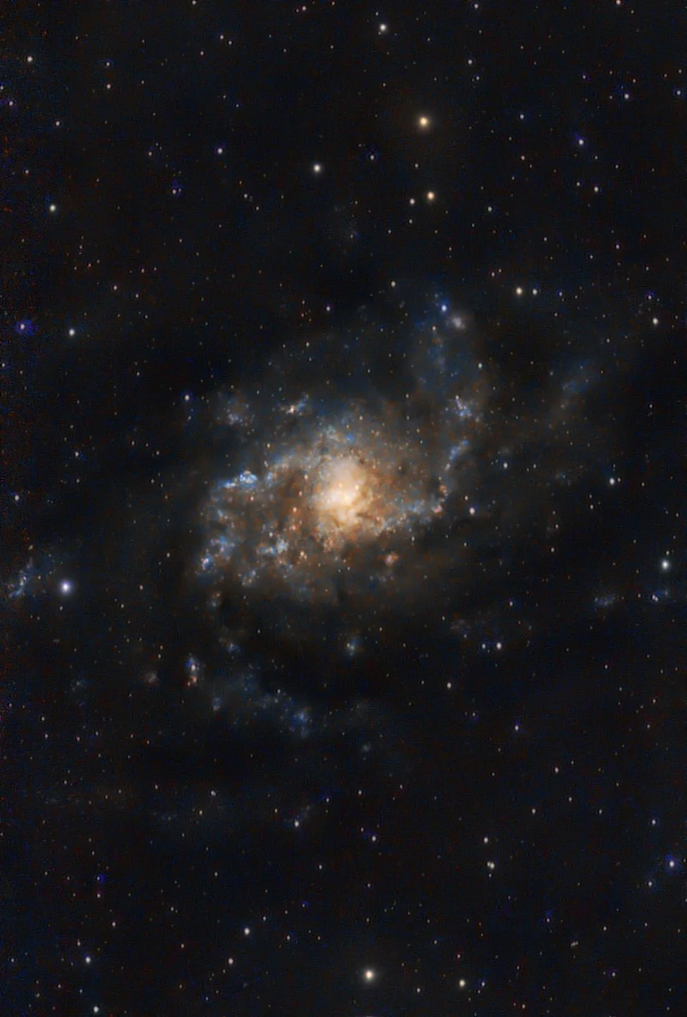 Messier 33 The Triangulum galaxy