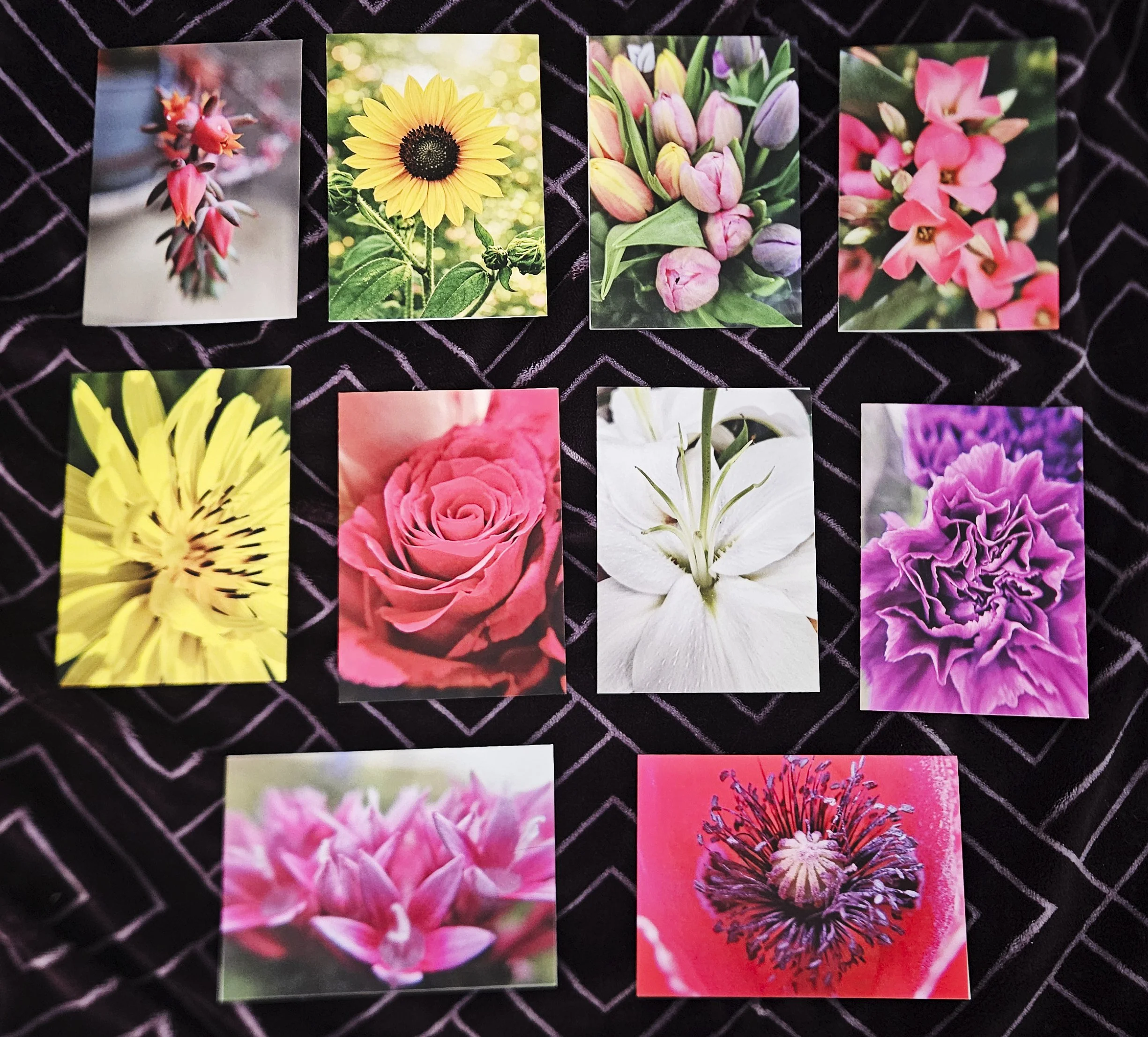 Botanical Greeting Cards