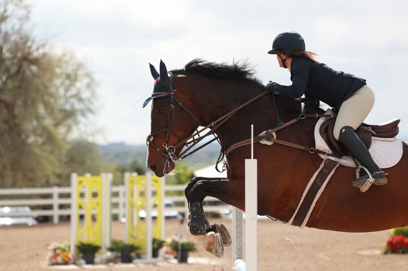 A few from Colorado Premier II at the @coloradohorsepark shot for @capturedmomentphotodotcom