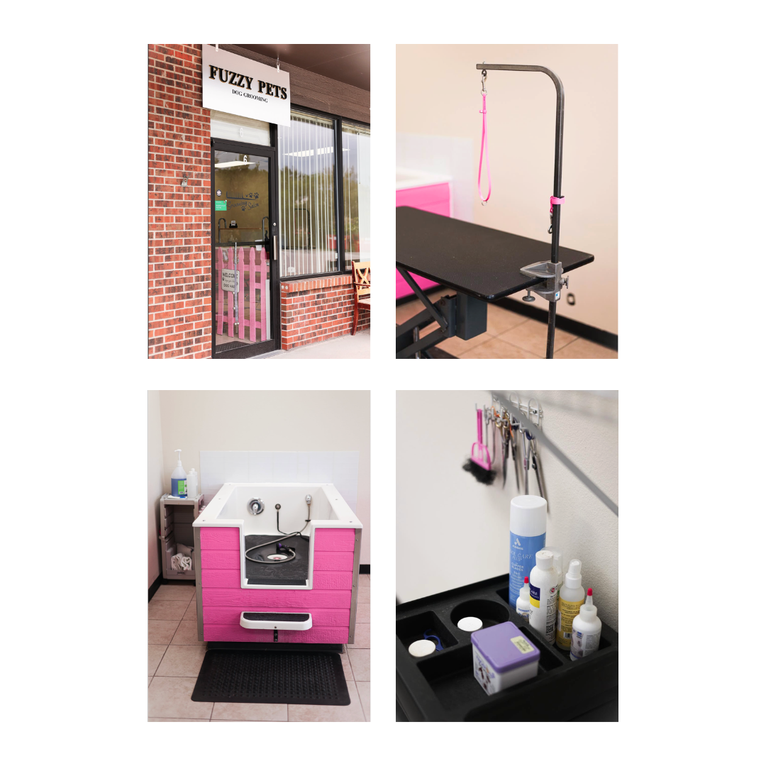 Market Ready Package