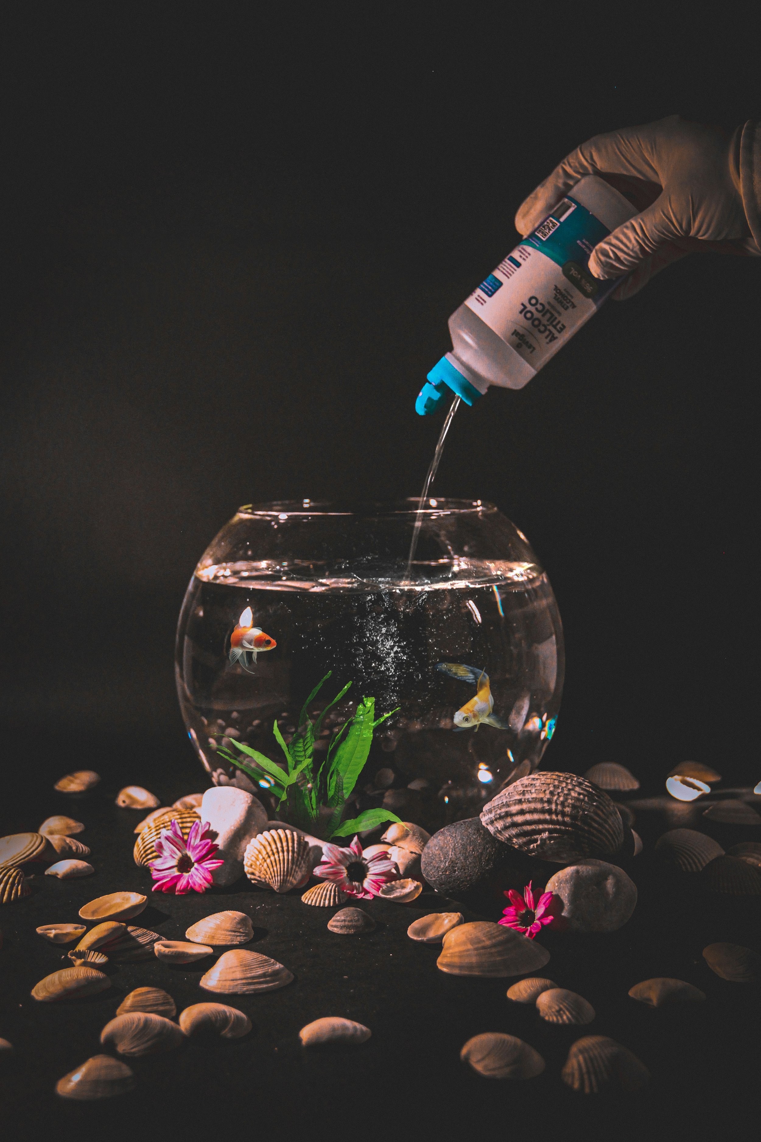 Aquatic Pet Supplies, Medicine and Accessories