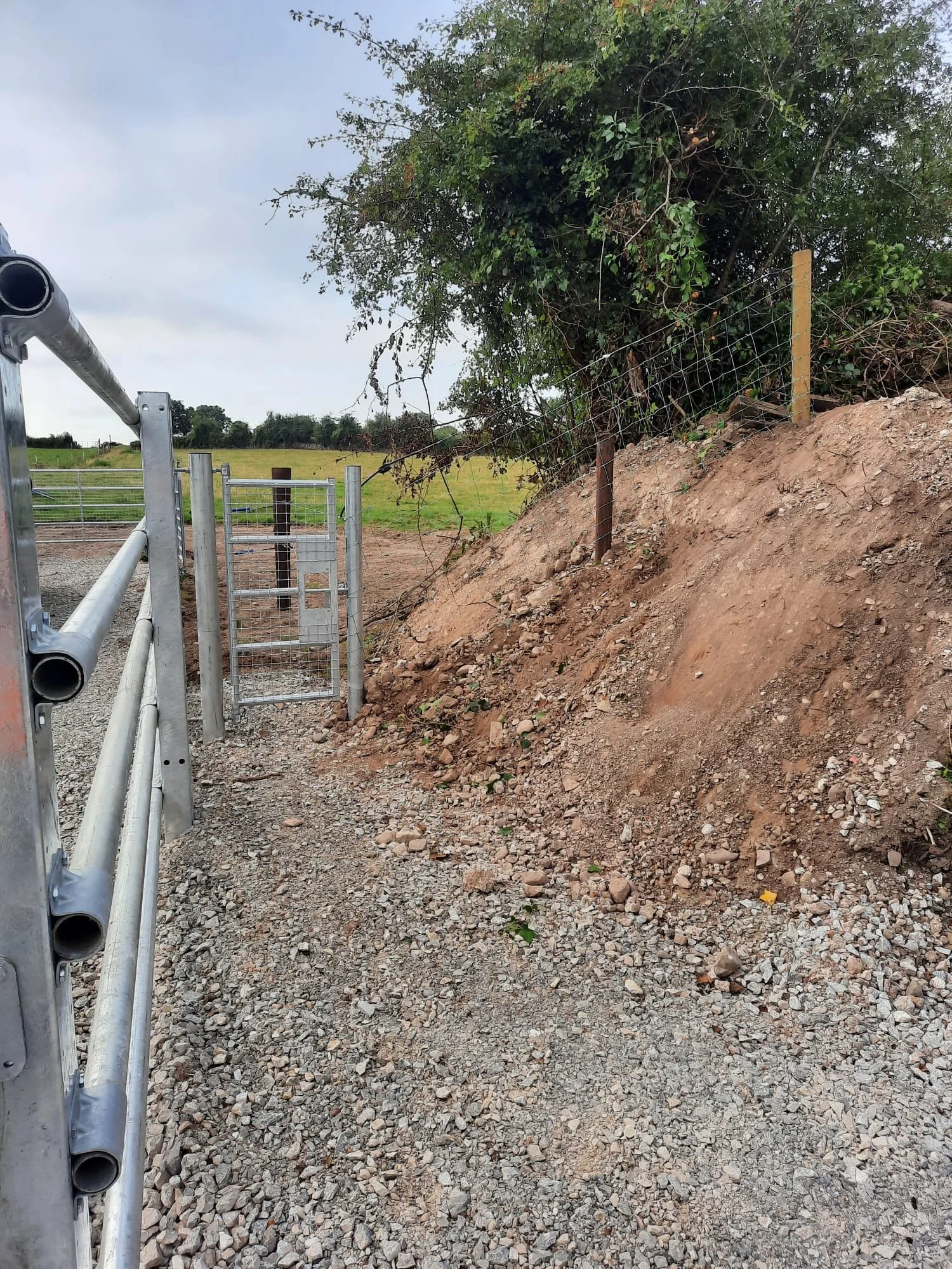 Agricultural Image 13.jpg