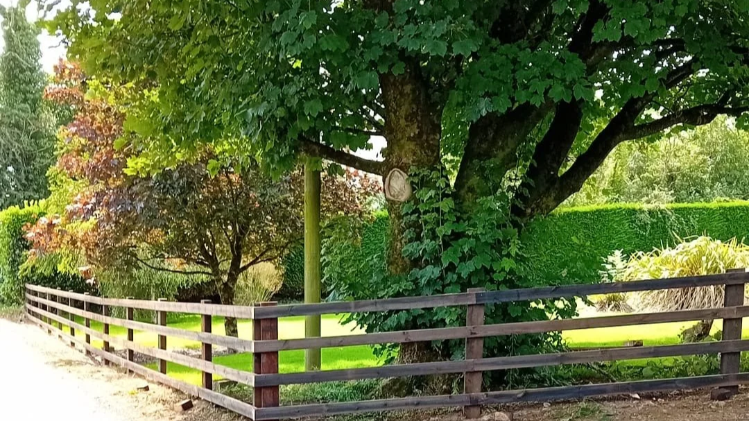 A scenic outdoor view of a park or garden featuring a wooden fence, lush green trees, surrounding bushes, and a well-maintained grassy area.