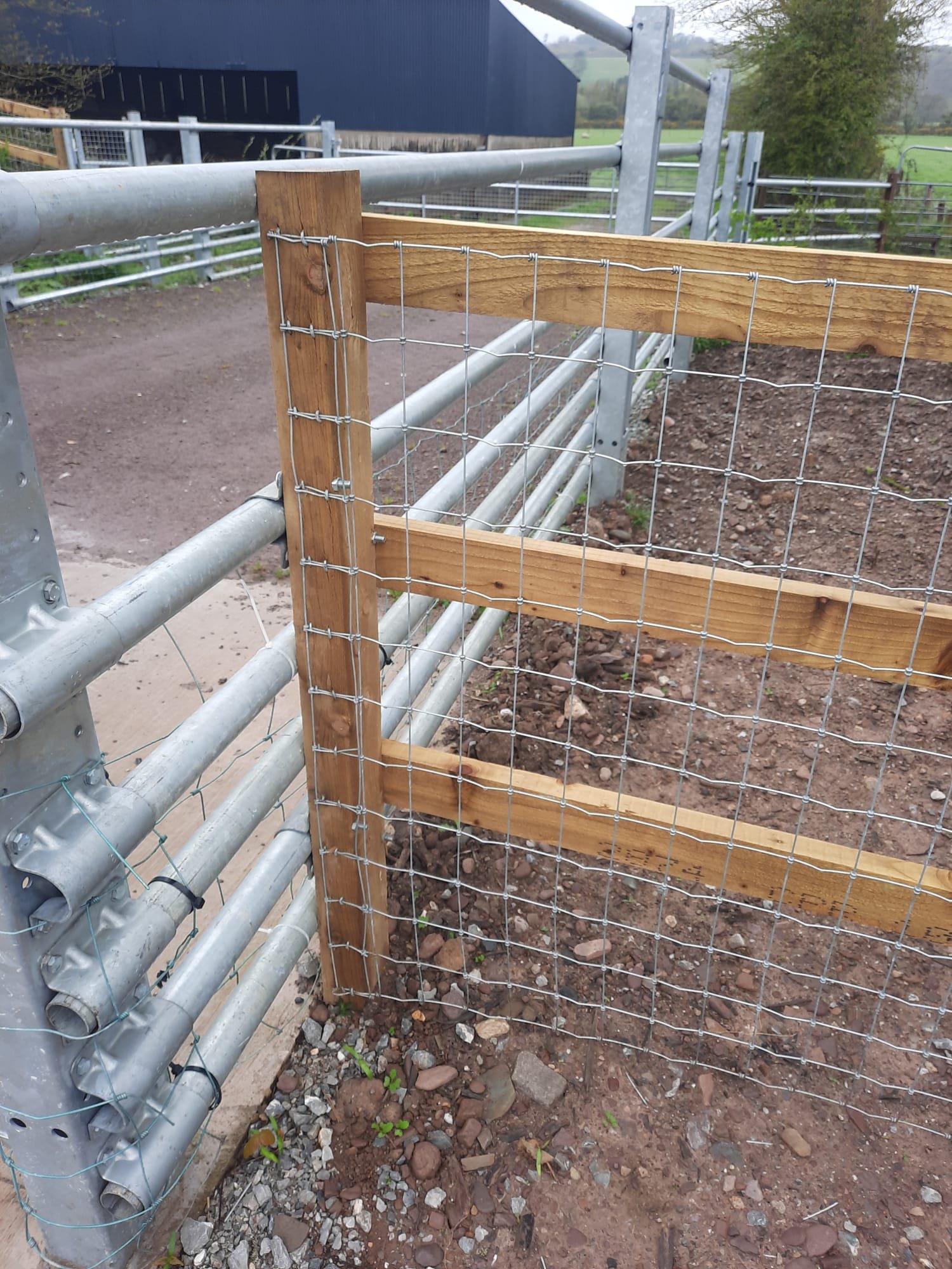 Agricultural Image 10.jpg