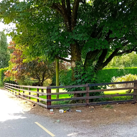 A large leafy green tree next to a wooden fence along a road, with trash scattered on the ground.