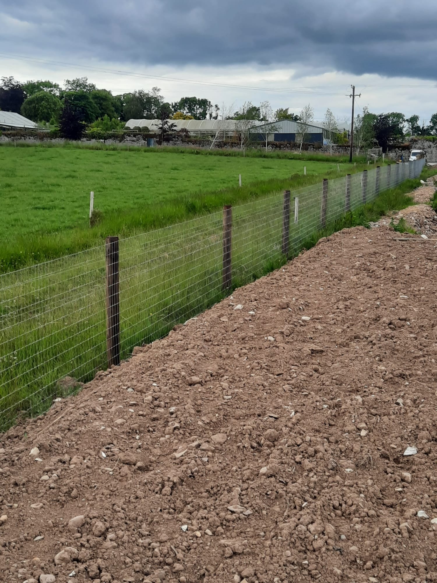 Agricultural Image 15.jpg