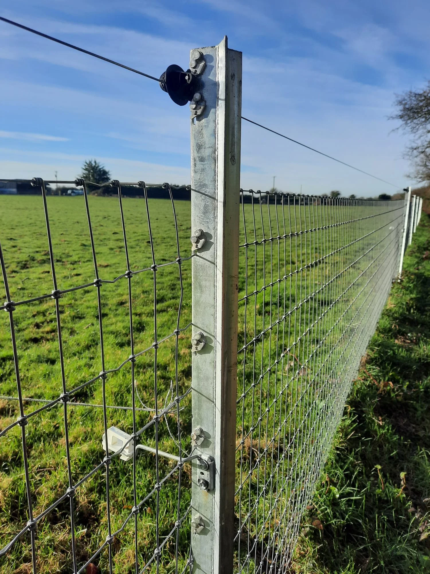 Agricultural Image 14.jpg