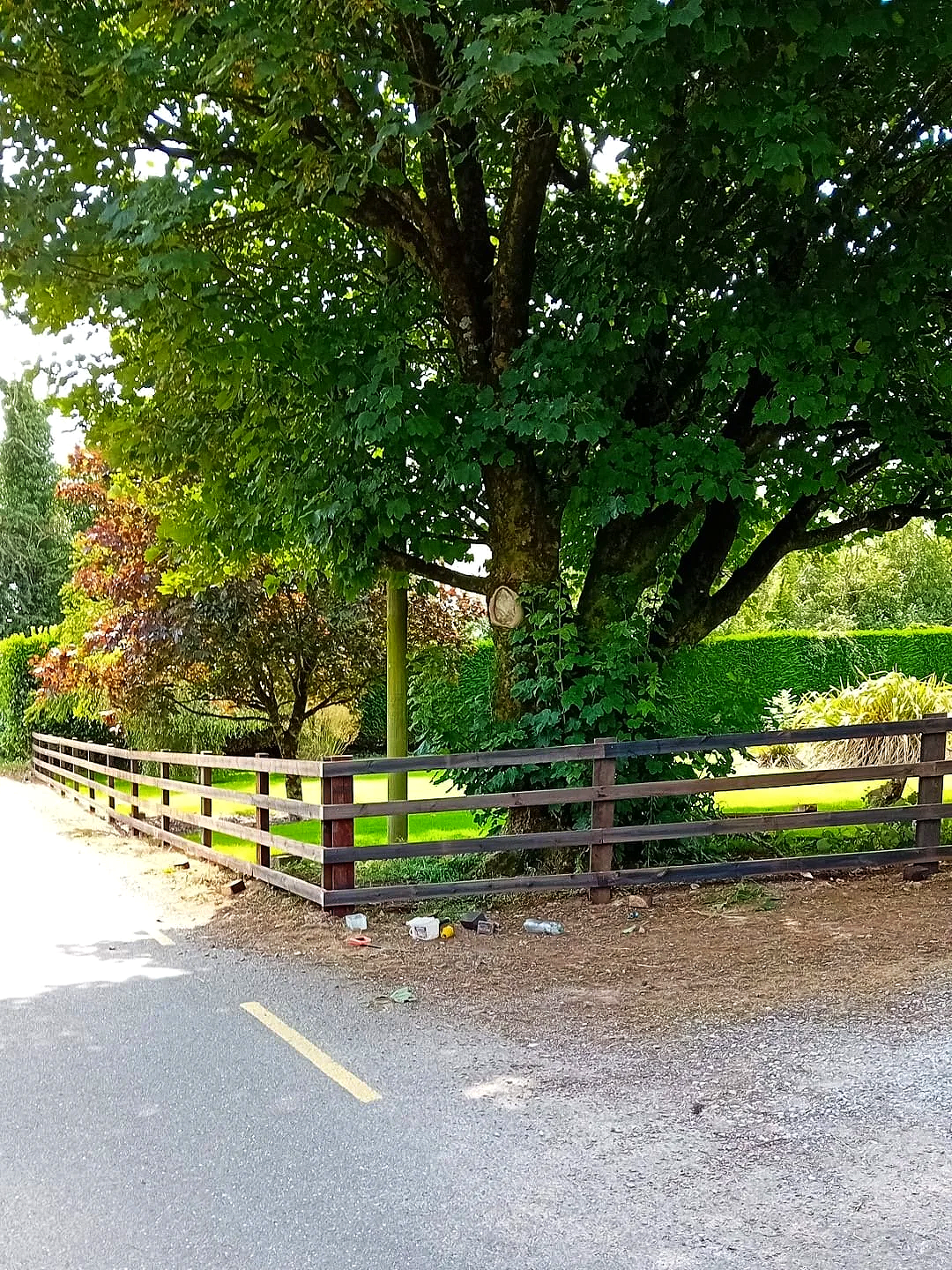Post and Rail Fencing