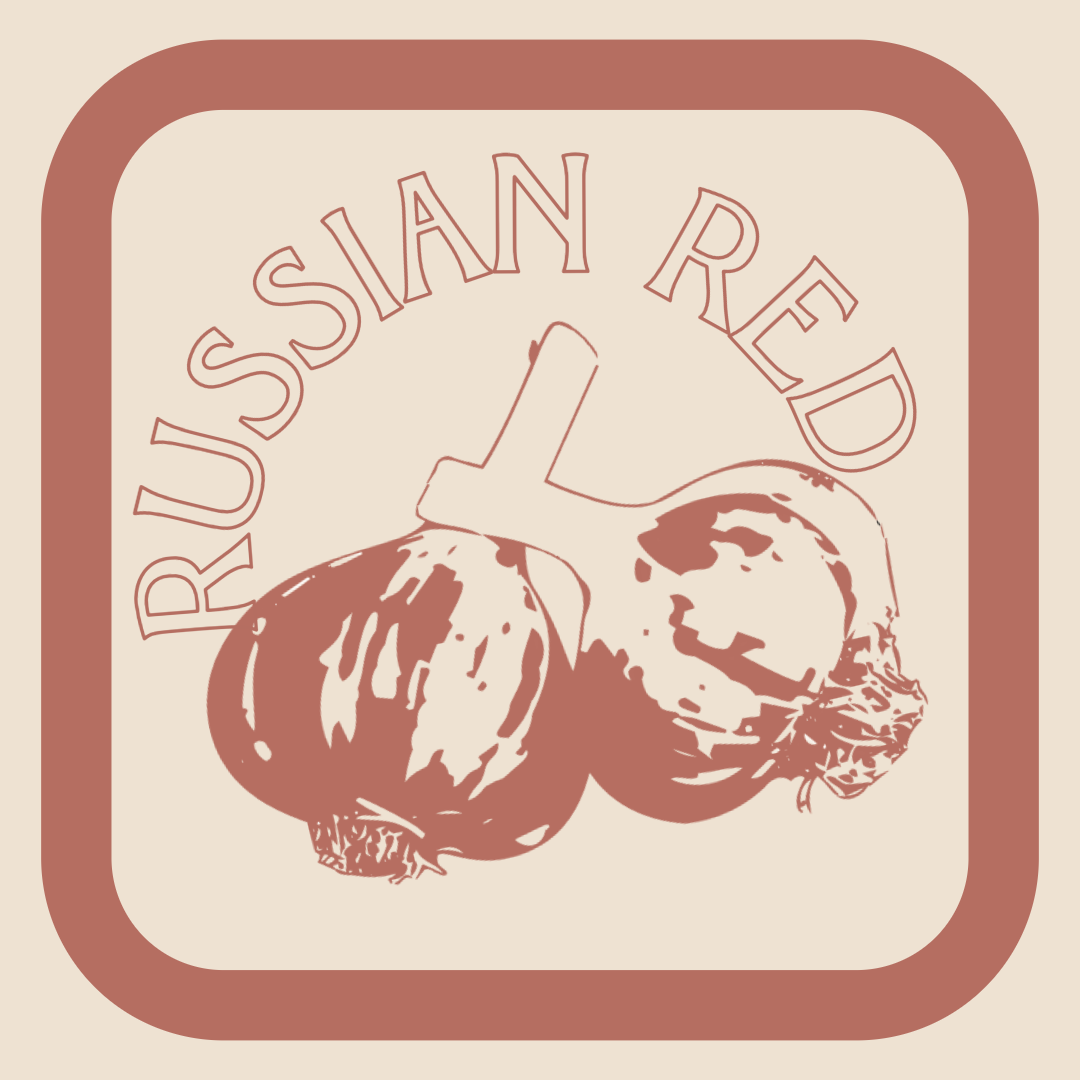 Organic Russian Red Garlic