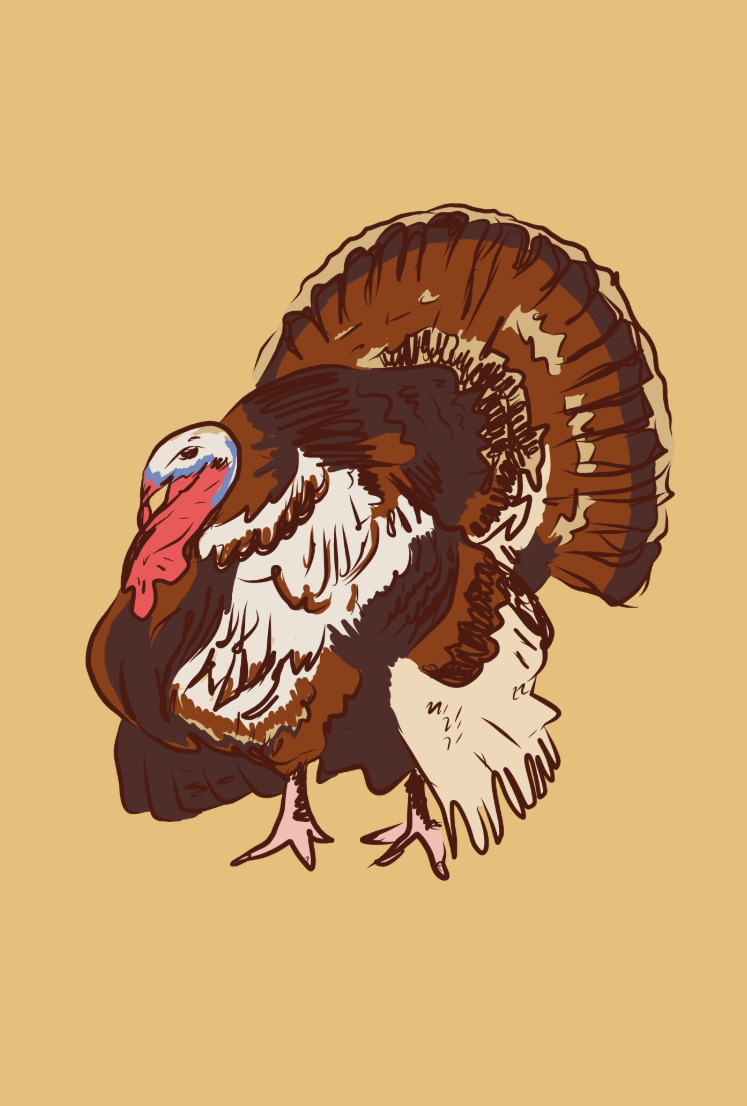Thanksgiving Turkey Deposit (2026)