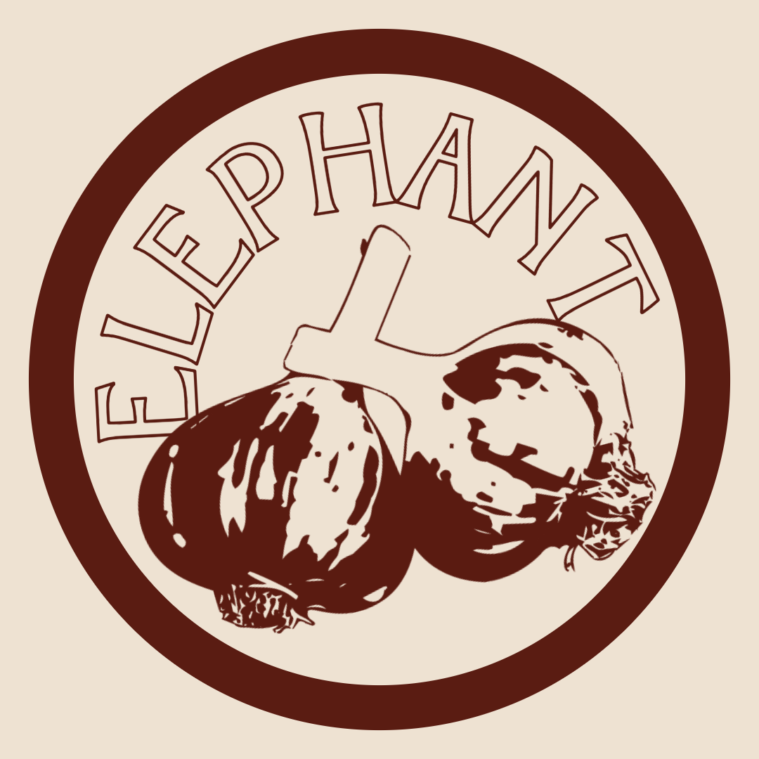 Elephant Garlic