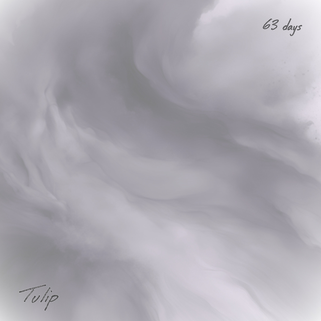 5 - 63 days.png