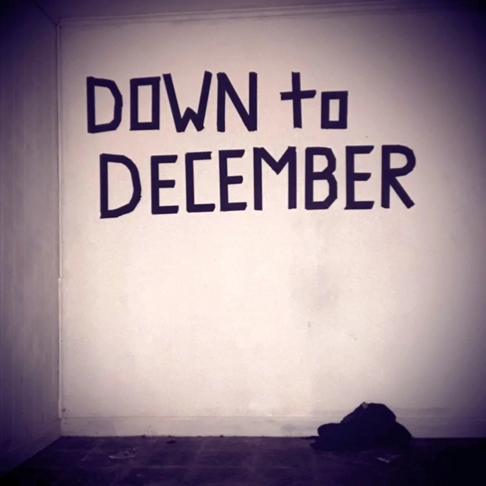 9 - DOWN TO DECEMBER cover photo.jpg