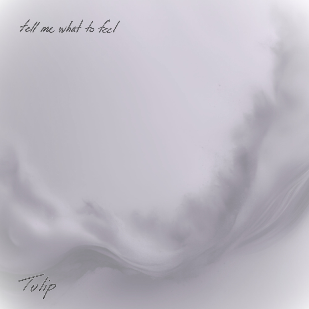 2 - tmwtf.png