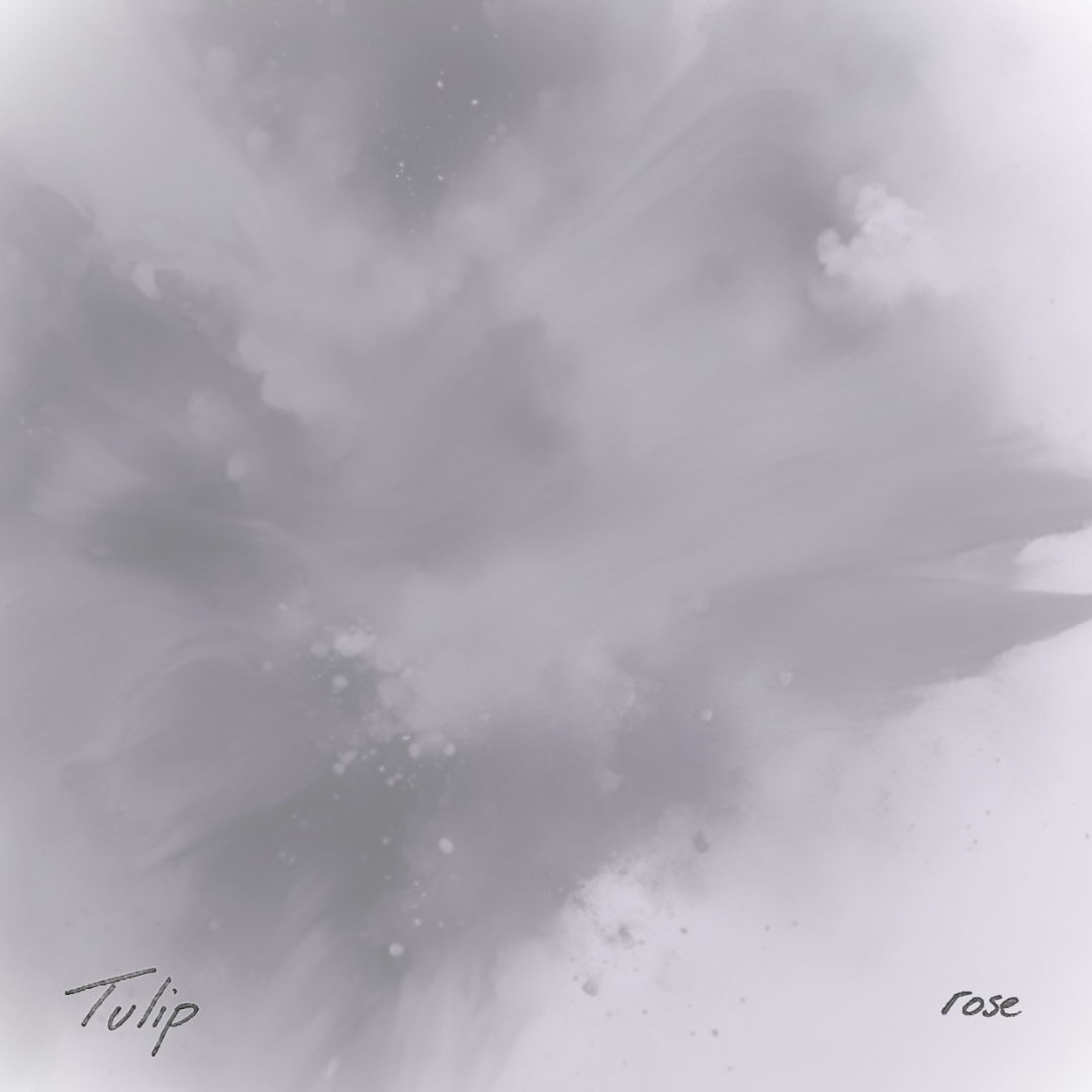 12 - rose.png