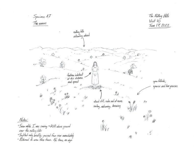 Tulip - Field Notes - The Woman.jpg