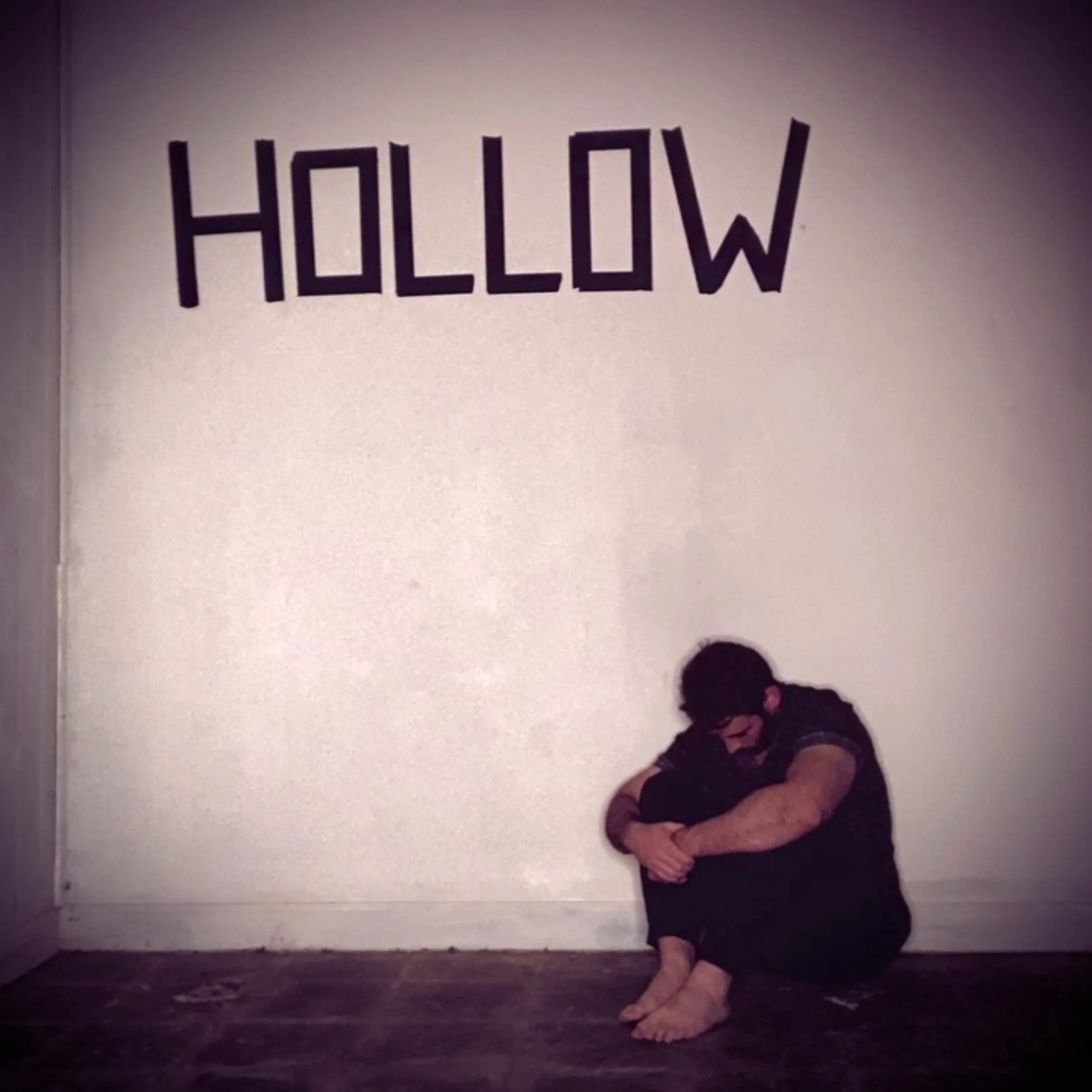 8 - HOLLOW cover photo.jpg
