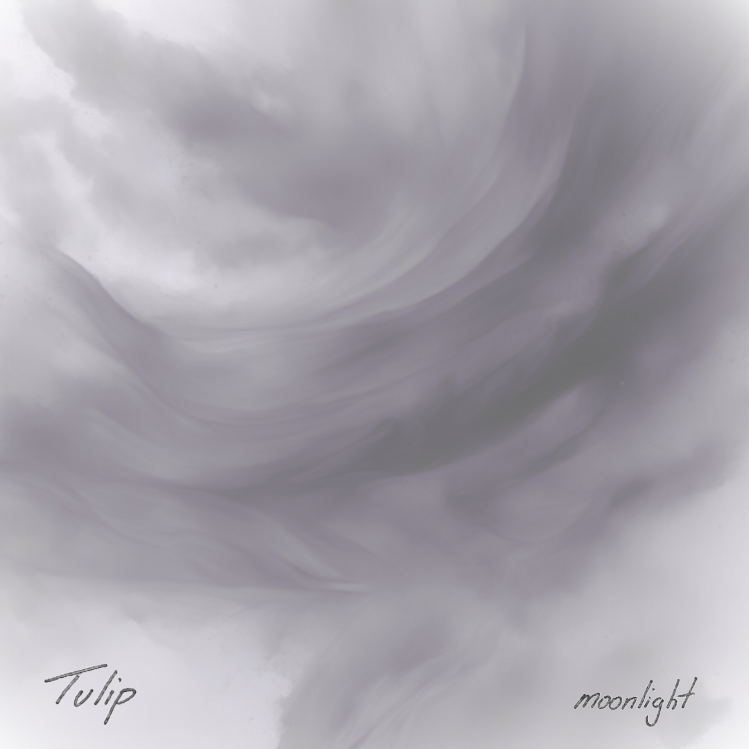 1 - moonlight.png
