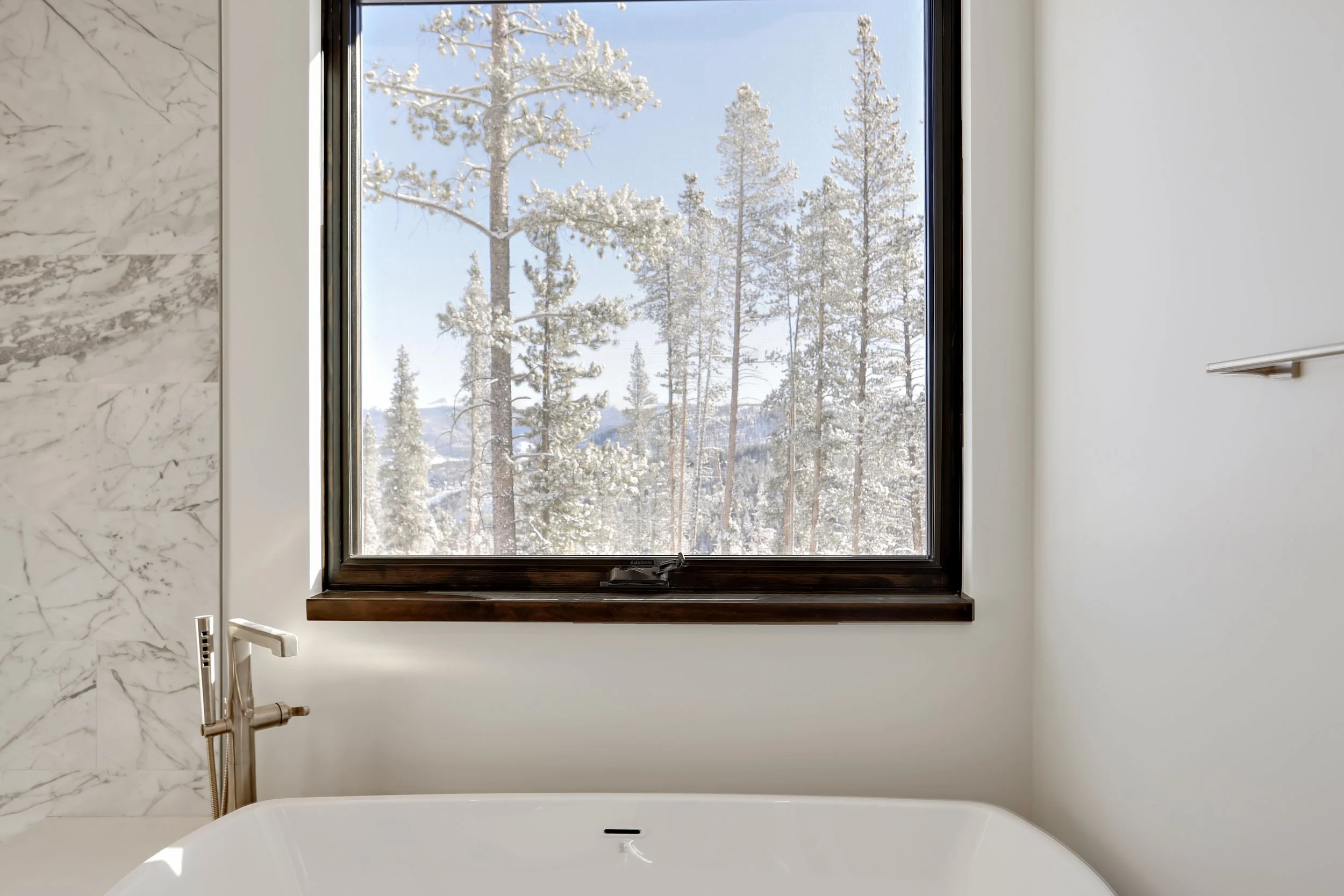 233 Barton Ridge Dr Unit v2 Breckenridge, CO 80424_005.jpg