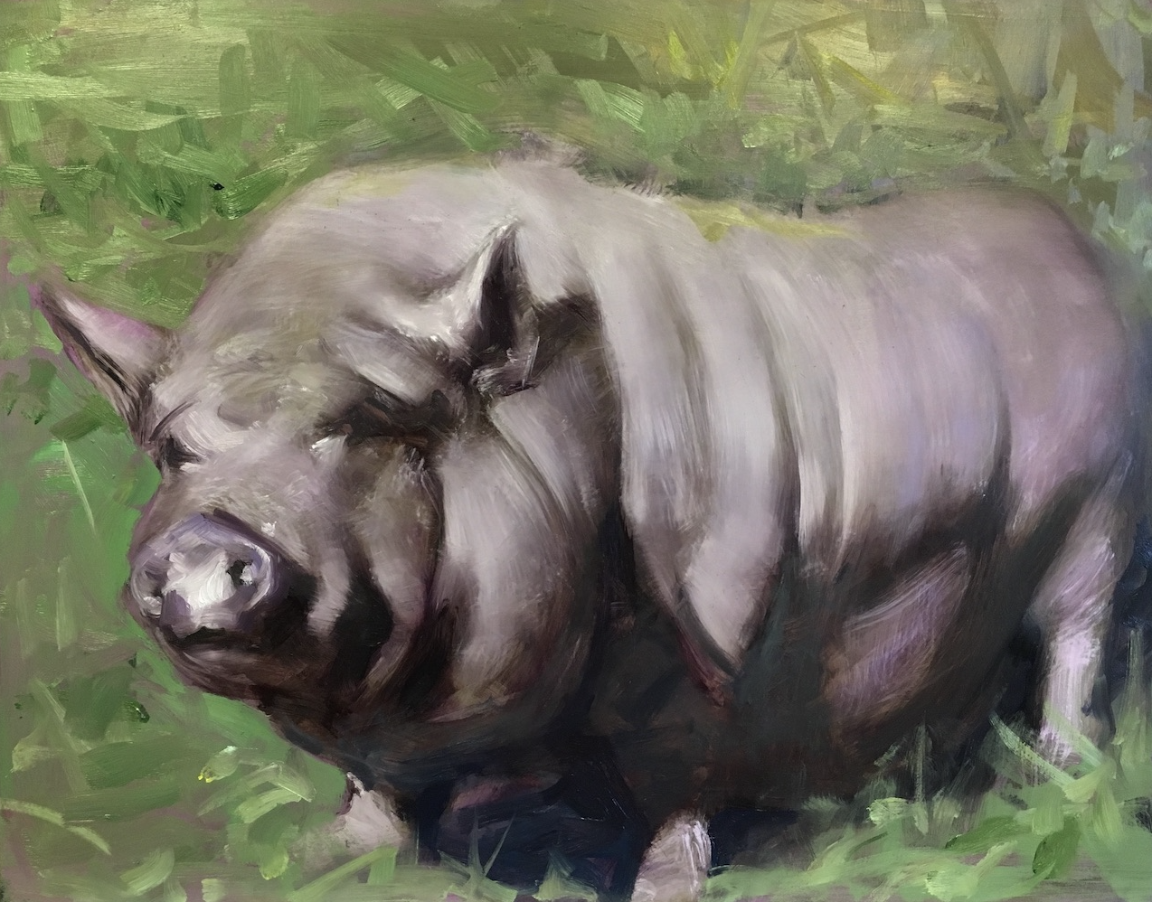 'Pot Belly'
oil on canvas, size (in): 16x20