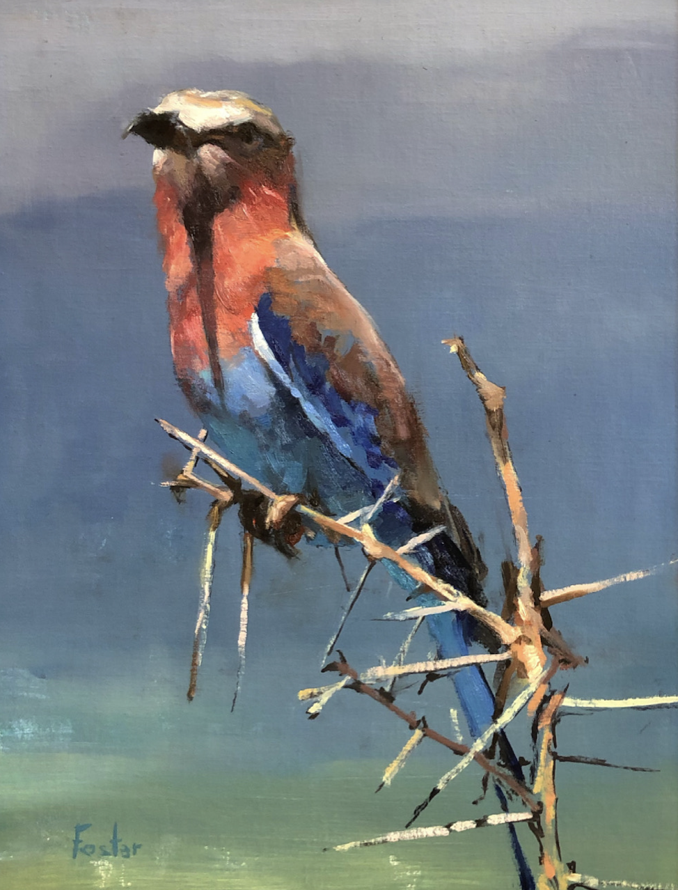 Painted image of a bird, likely a rosy-faced lovebird, perched on dry branches against a gradient blue background.