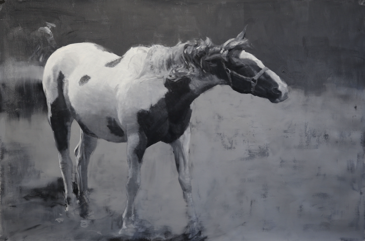 'Taco'
oil on canvas, size (in): 48x72