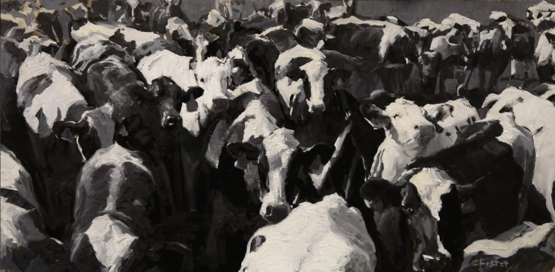 A herd of black and white cattle huddled together, viewed in a painting style.