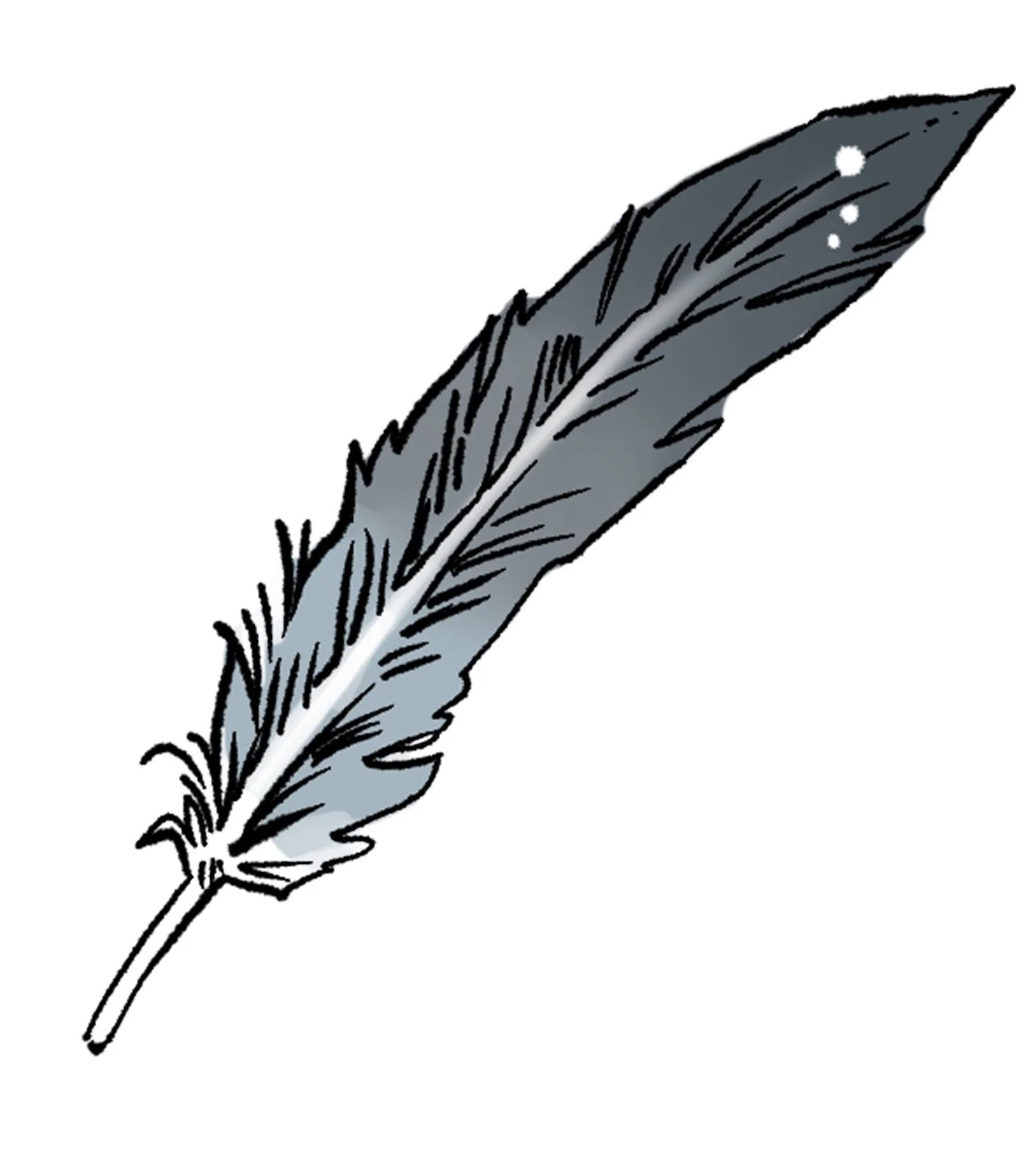 feather.jpg