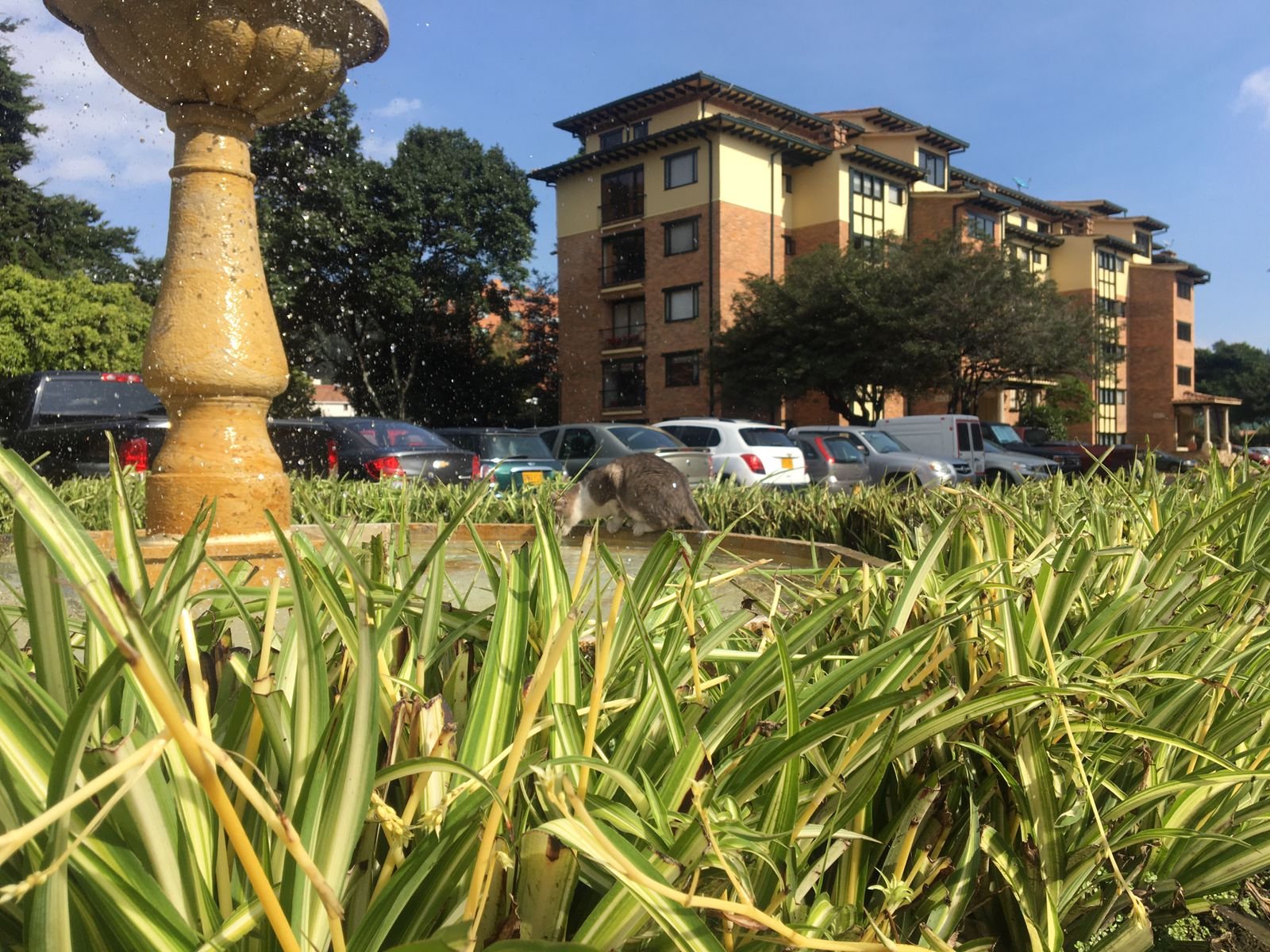 Apartamento Soltileza 304 m2