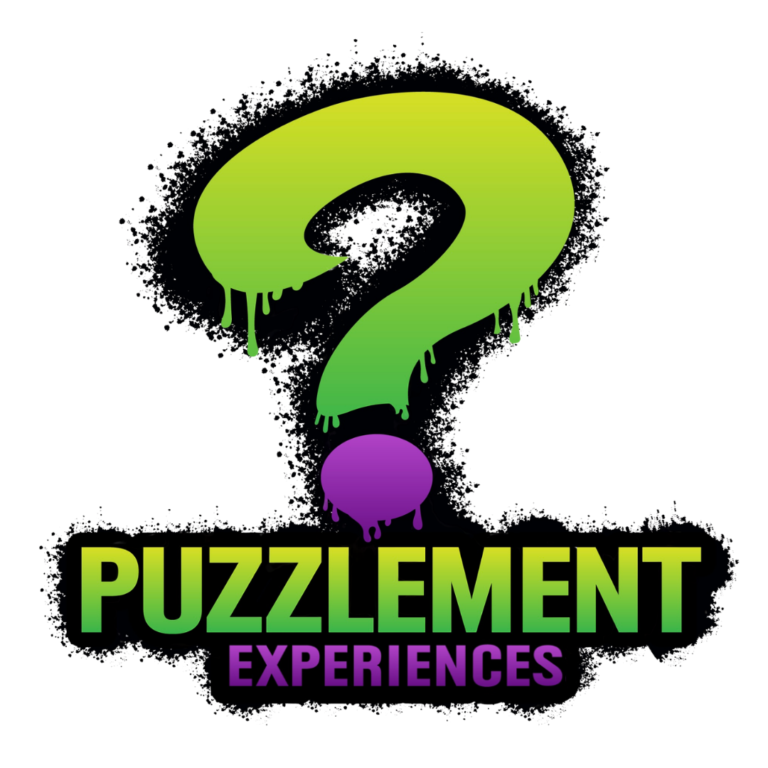 Puzzlement Experiences