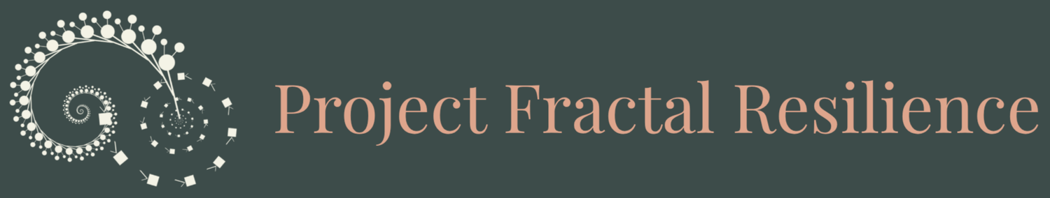 Project Fractal Resilience