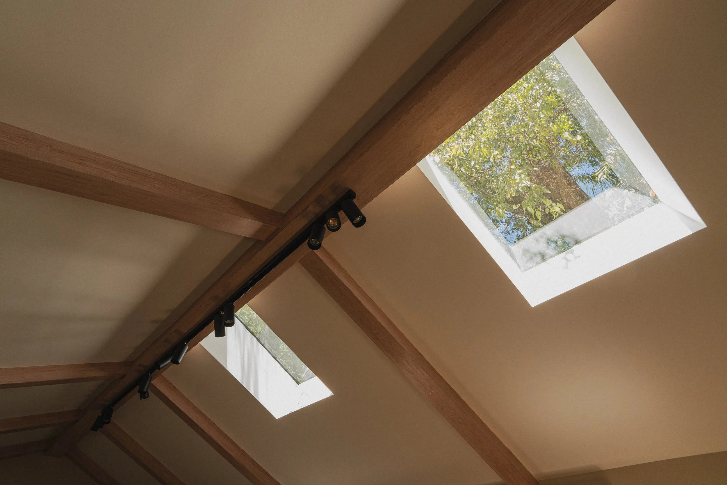 Techo con vigas de madera y ventanas de tragaluz con vista a árboles y cielo.