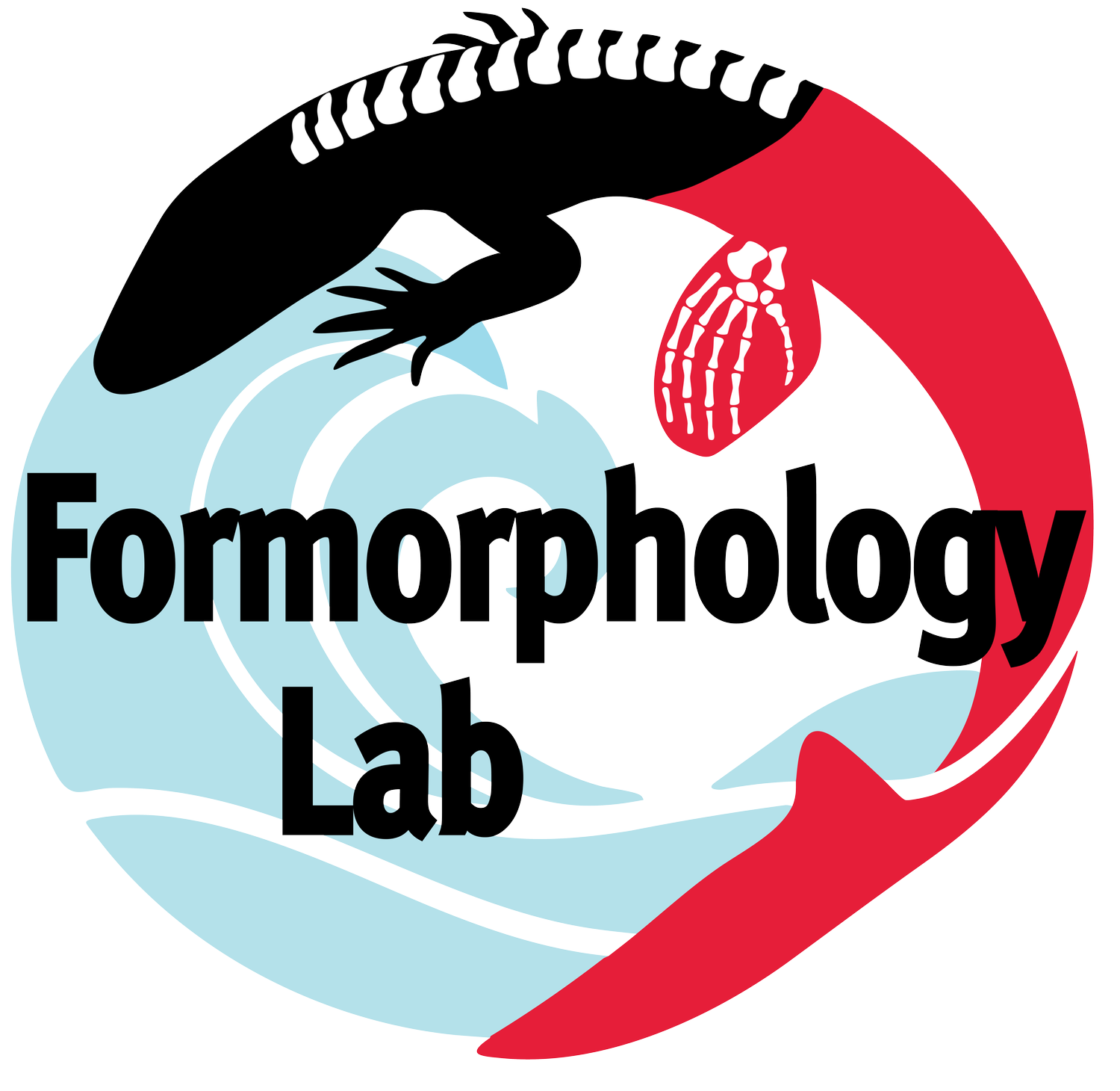The Formorphology Lab at Rutgers